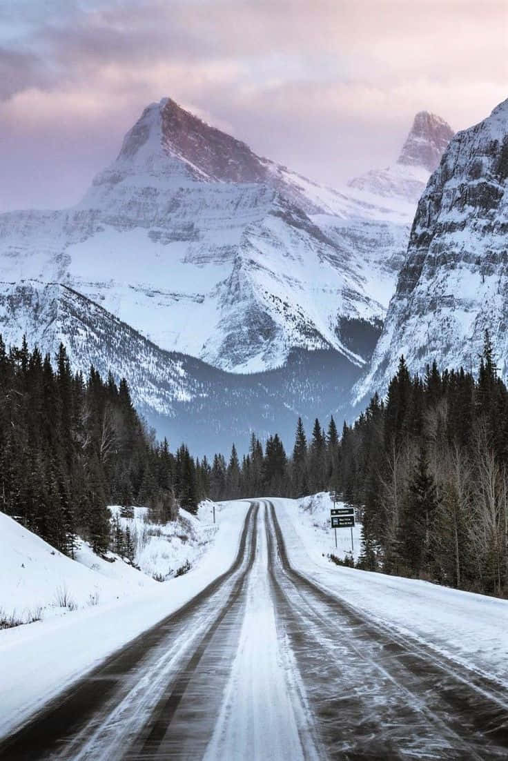 Winter Photography 桌布 壁紙 — 一條積雪的道路蜿蜒穿過森林，通往在柔和粉紅與灰色暮色天空下高聳崎嶇的山脈。