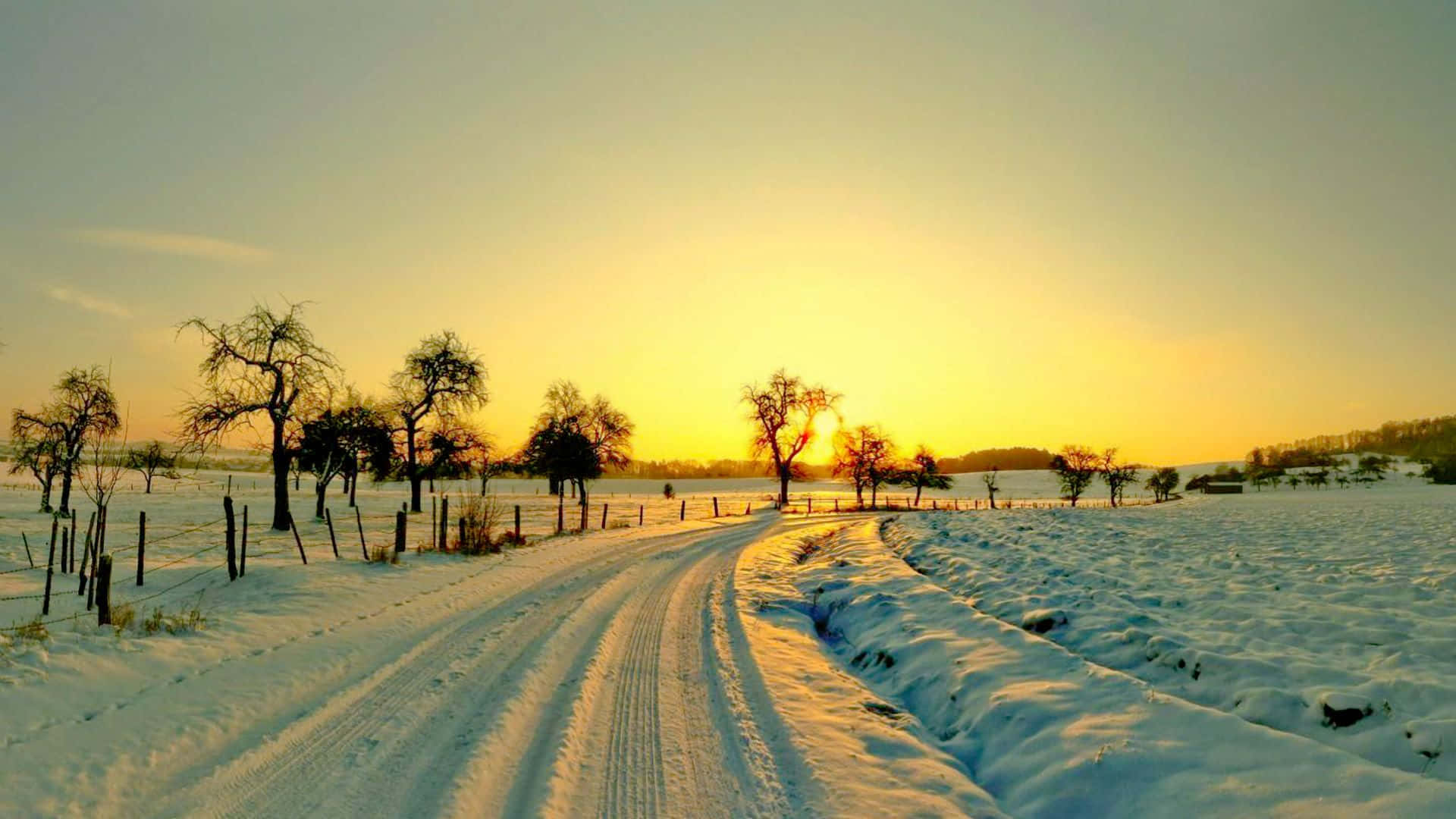 Winter Sunset 桌布 壁紙 — 一條積雪蜿蜒的道路穿過寧靜的冬季田野，夕陽在光禿禿的樹木後落下，灑下金色的光芒。