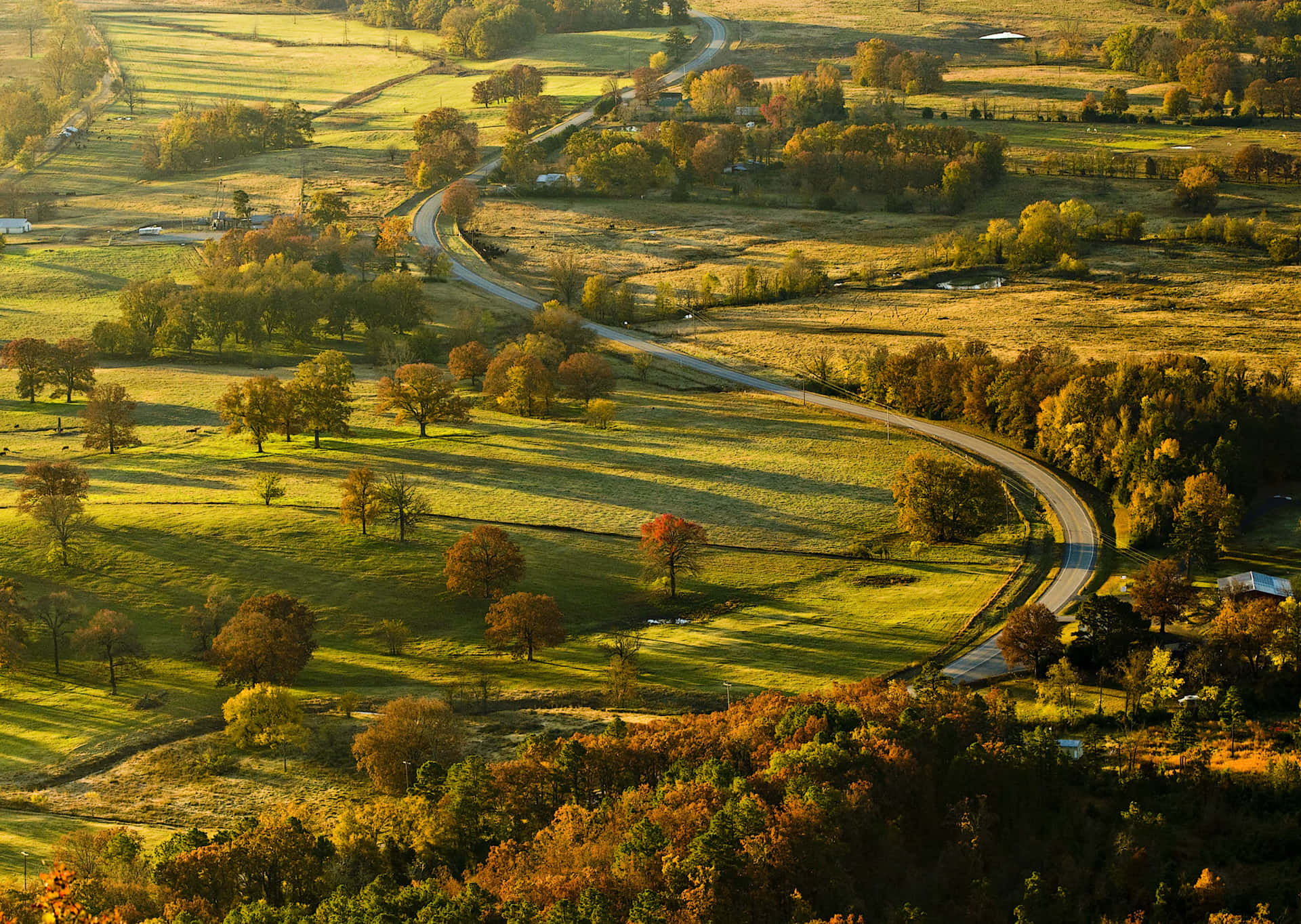 金色夕陽下蜿蜒穿過秋日山丘的道路