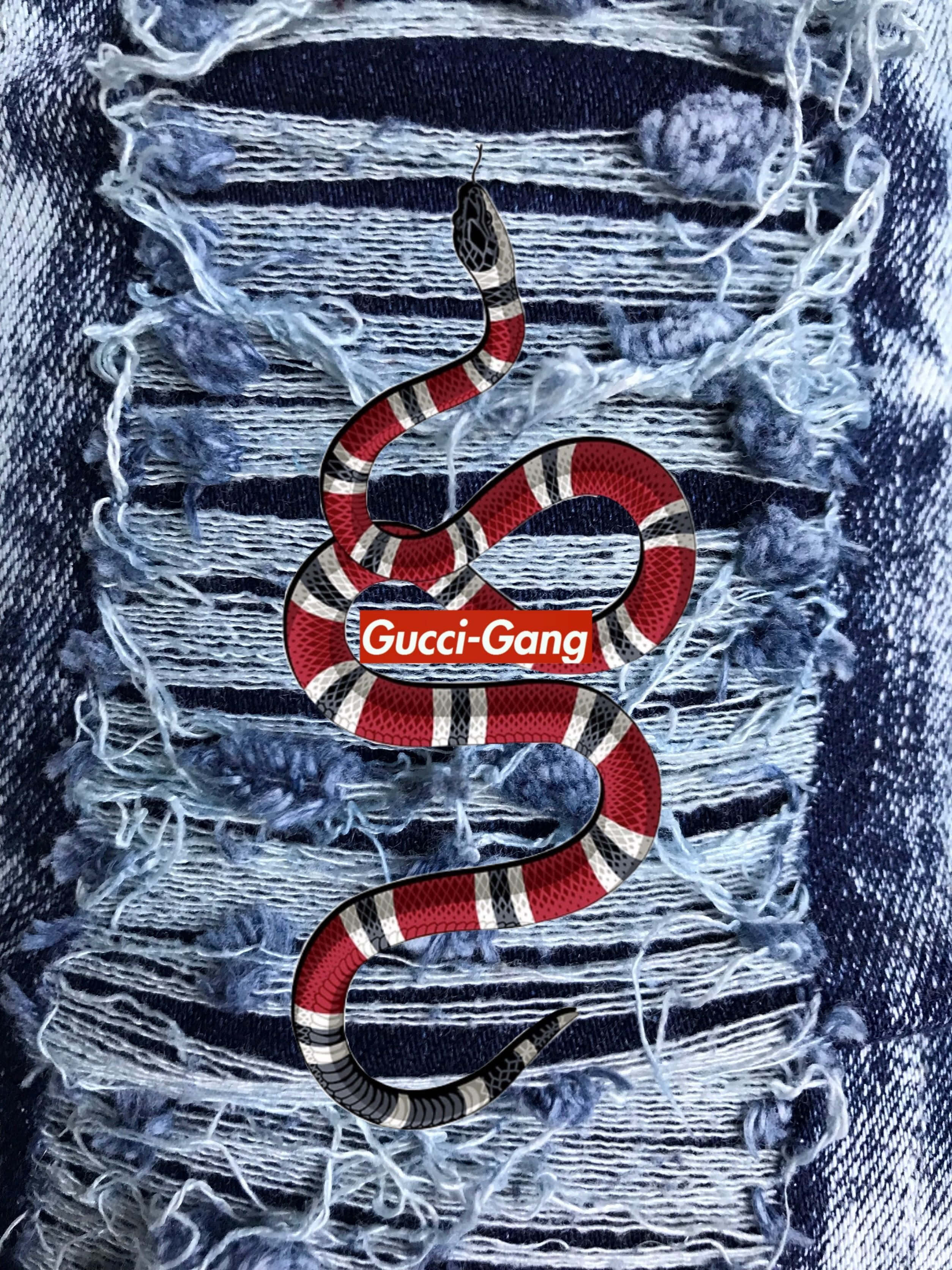 Gang 桌布 壁紙 — 一條紅白黑條紋蛇帶有Gucci Gang標誌，在破爛的藍色牛仔布上滑行。