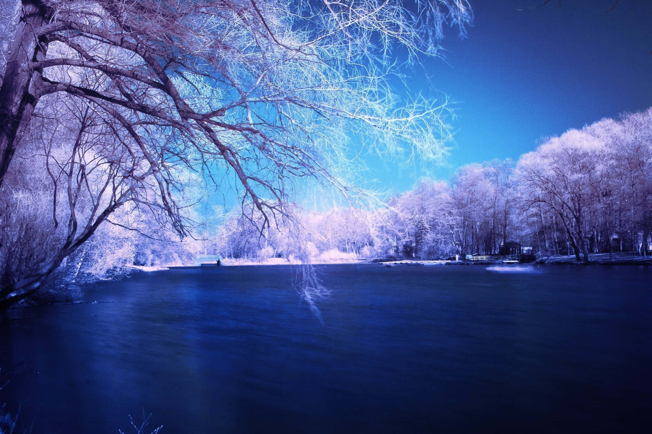 Winter Blues 桌布 壁紙 — 一條結冰的河流在深藍色天空下閃耀，被霜覆蓋的樹木在冰冷的暮色中框住這片景色。