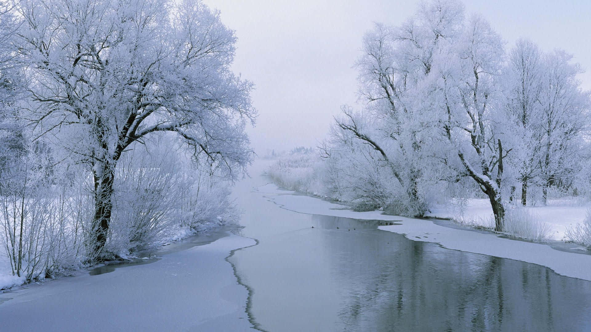 Frozen Lake 桌布 壁紙 — 一條結冰的河流蜿蜒穿過白雪覆蓋的冬季森林，霜凍的樹木在陰天之下。