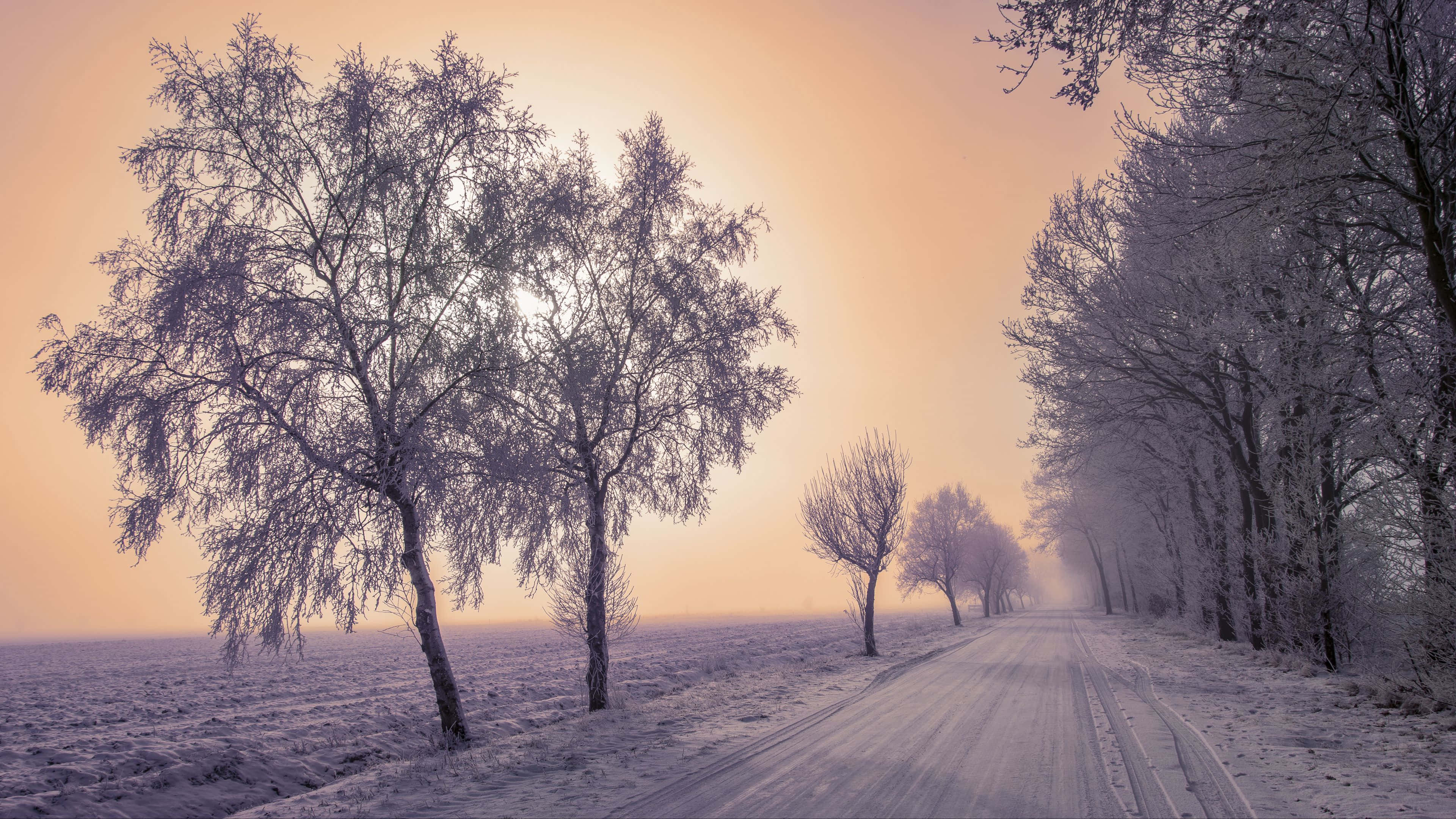 Snowy Road 桌布 壁紙 — 一條結霜的道路蜿蜒穿過白雪覆蓋的樹木，在柔和的橙色日出天空下。