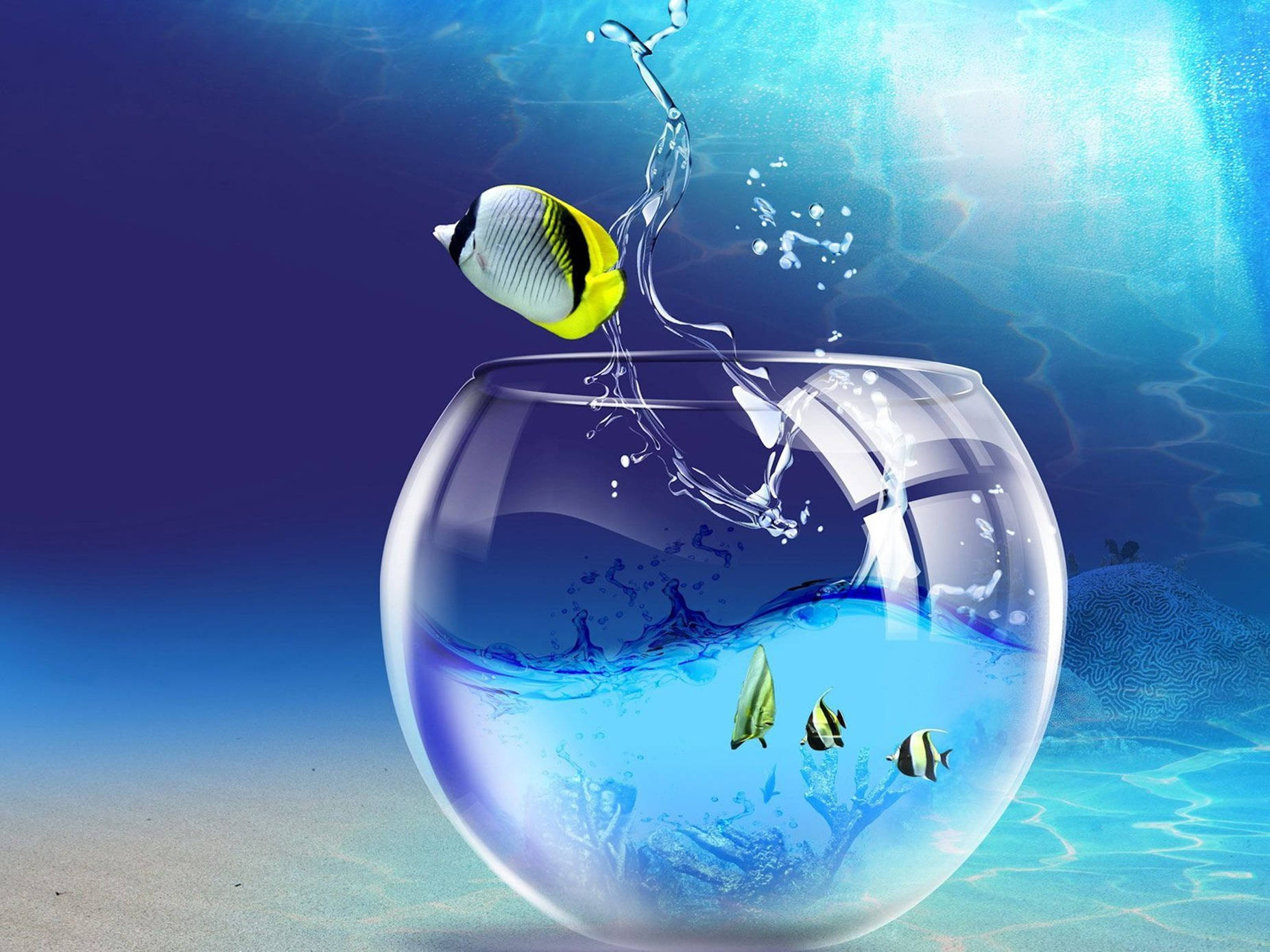 水下 桌布 壁紙 — 一條色彩繽紛的蝴蝶魚從一個裝滿水的玻璃碗中躍出，背景是深藍色的海洋。