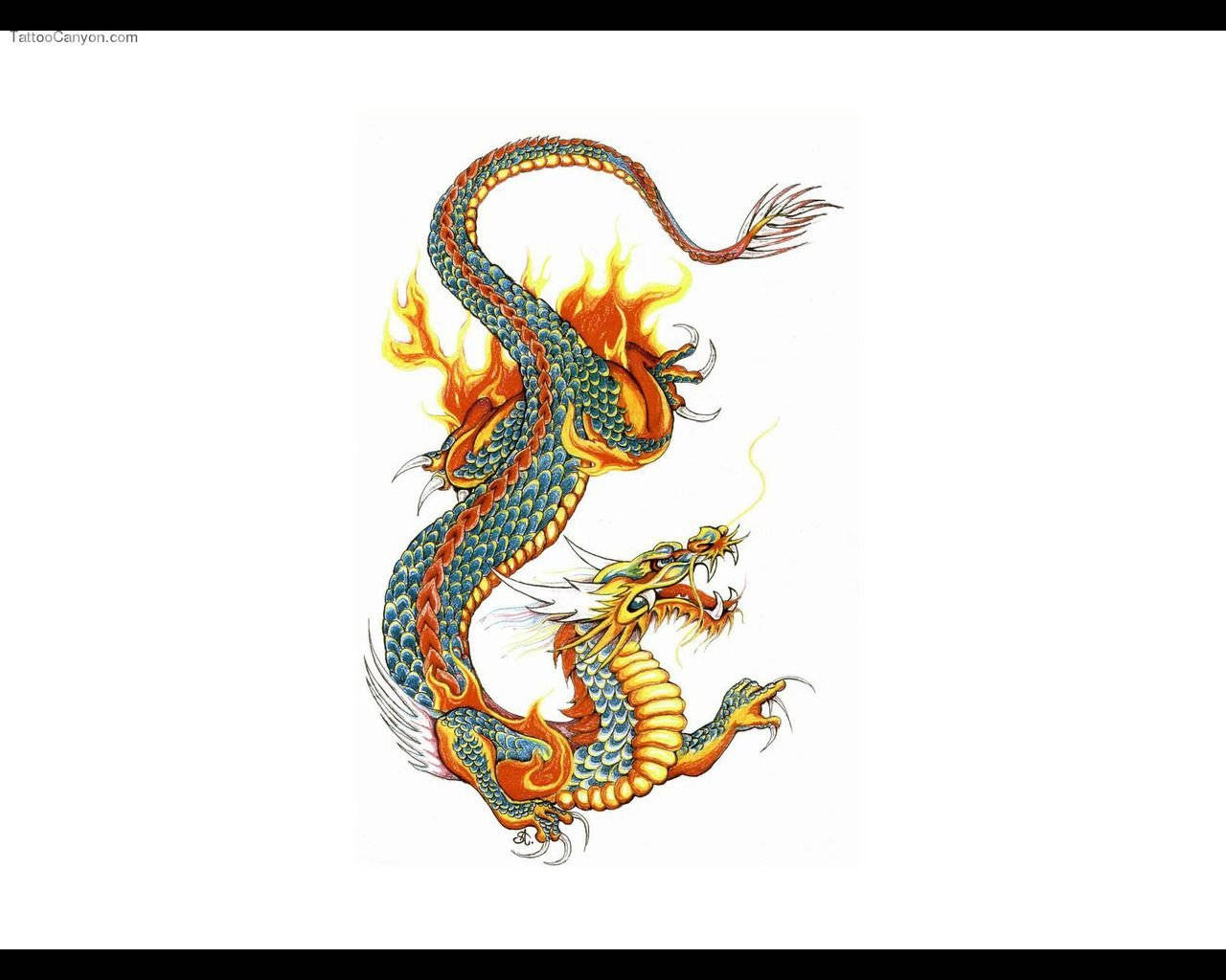 日本龍 桌布 壁紙 — 一條色彩鮮豔的插畫龍，擁有藍色鱗片和從身體噴出的熾熱橙色火焰，在純白色背景上動態盤繞。