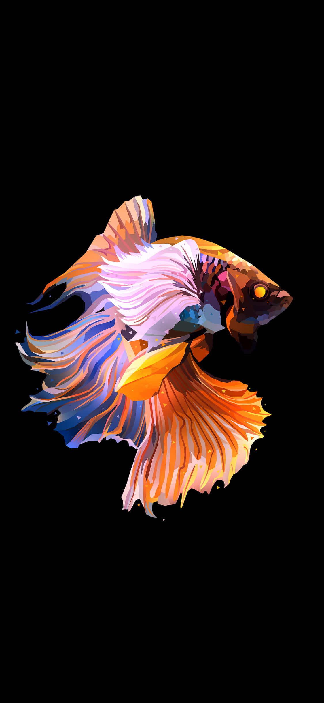 iPhone X Oled 桌布 壁紙 — 一條色彩鮮豔的鬥魚，帶有流動的橙色、藍色和白色魚鰭，在純黑色背景下閃耀。