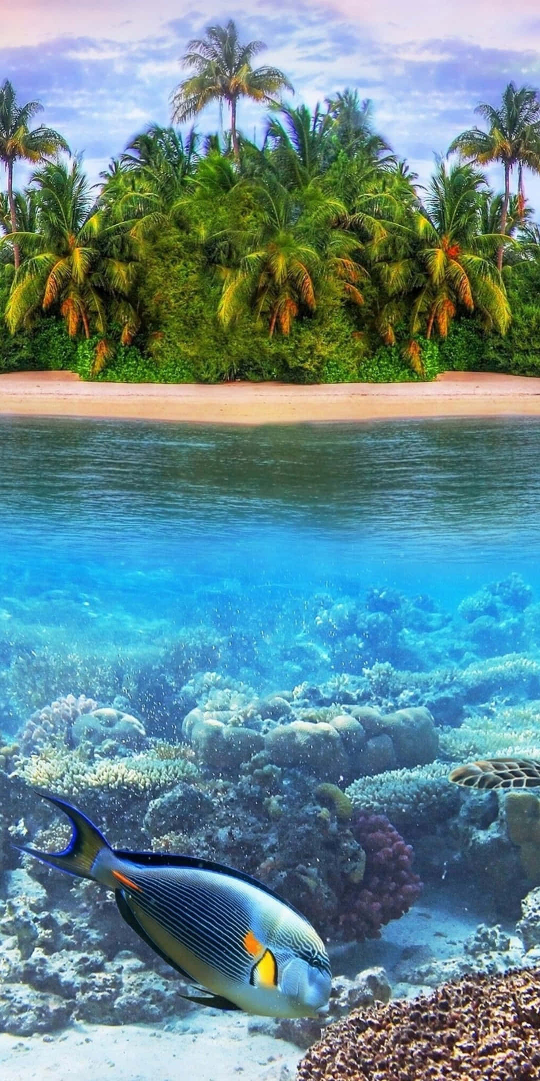 一條色彩鮮豔的魚穿過波浪 壁紙 — 一個分割視圖，上方是熱帶島嶼和棕櫚樹，下方是色彩繽紛的珊瑚礁和一條藍色魚。