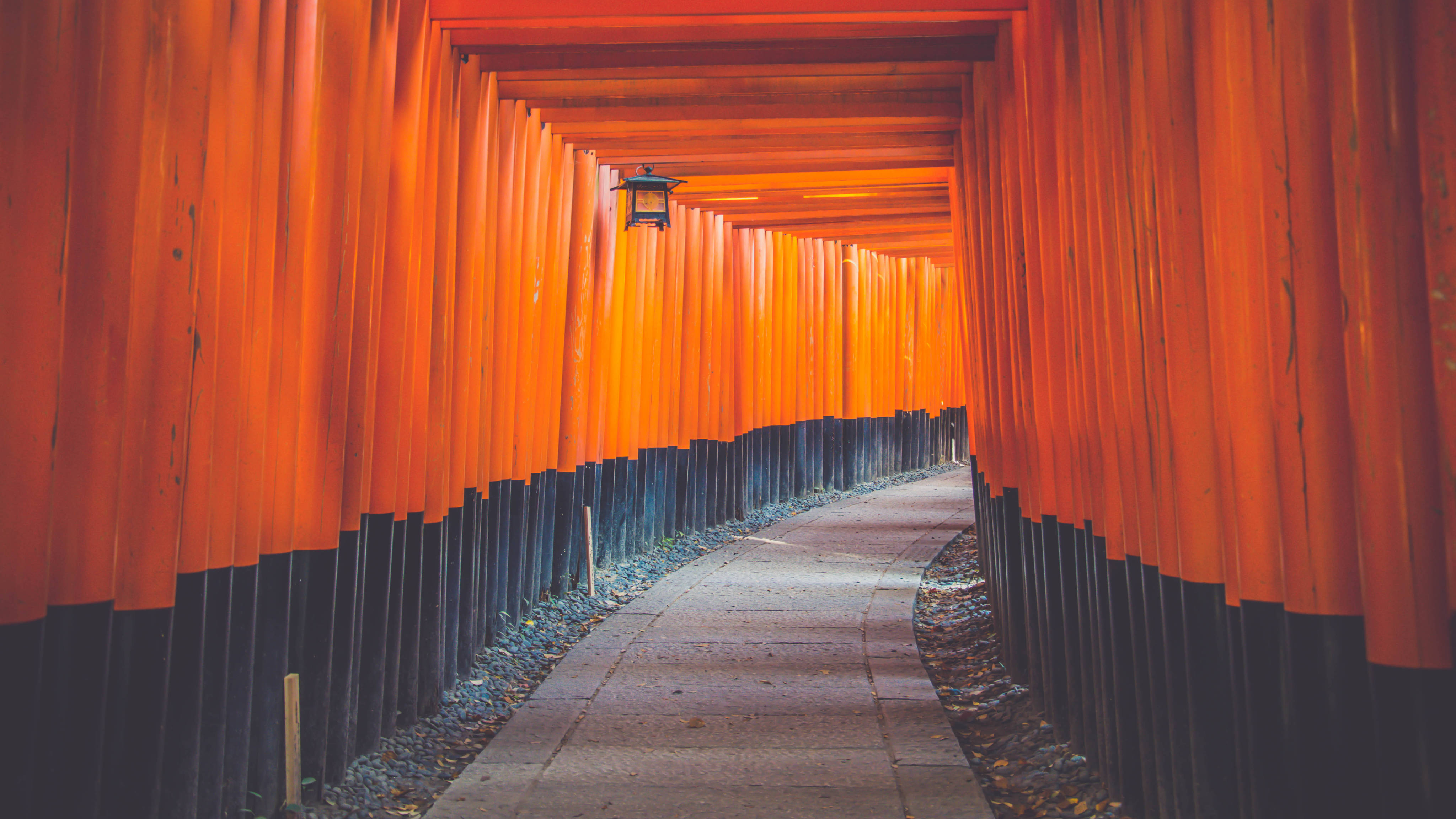 Japan 4K 桌布 壁紙 — 一條蜿蜒的小路兩旁排列著鮮豔的橙色鳥居，在柔和的光線下延伸至遠方。