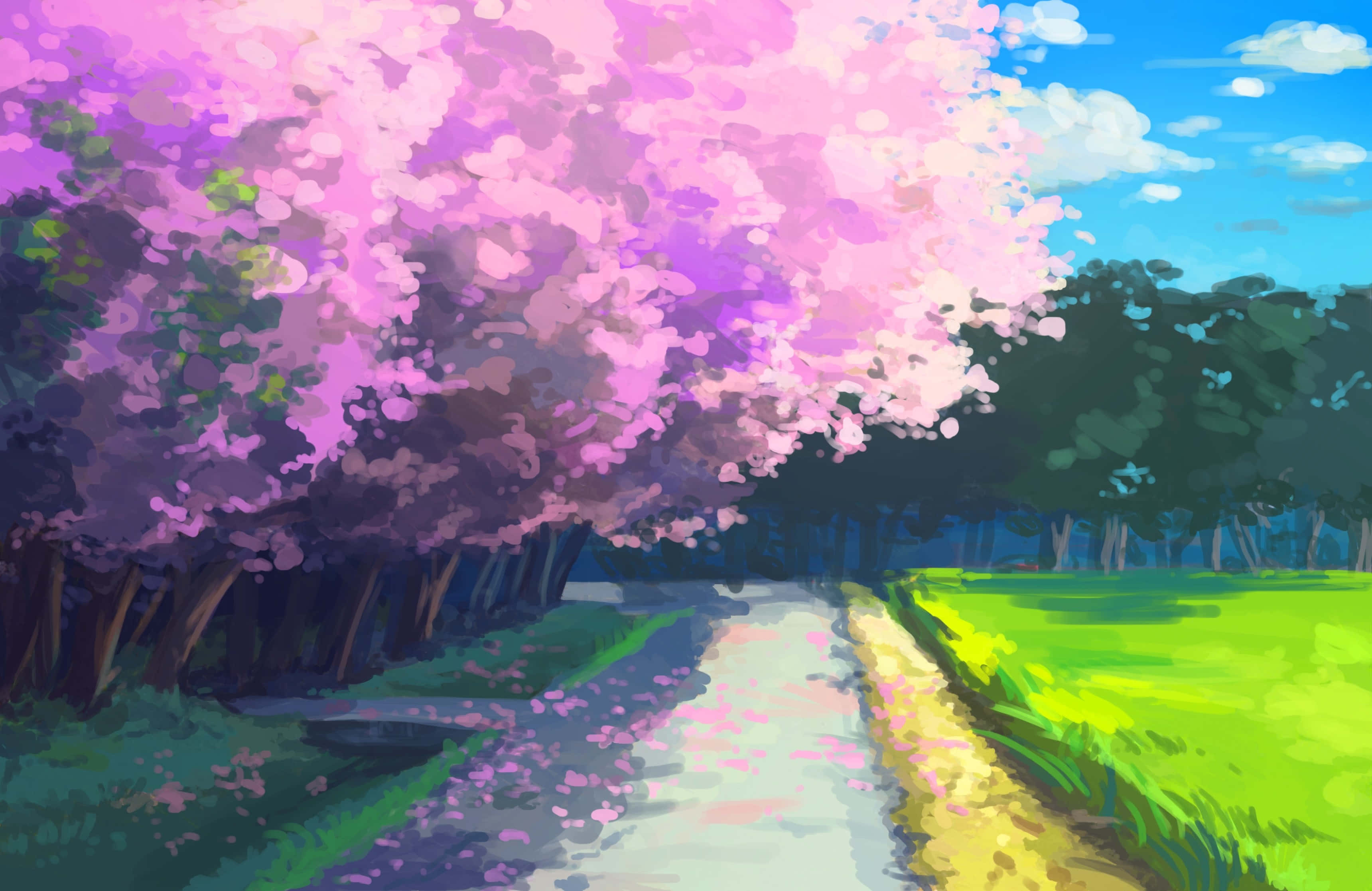 Anime Sky 桌布 壁紙 — 一條蜿蜒的小路在充滿活力的粉紅色櫻花下，穿過一片鬱鬱蔥蔥的綠色田野，上方是明亮的藍天。