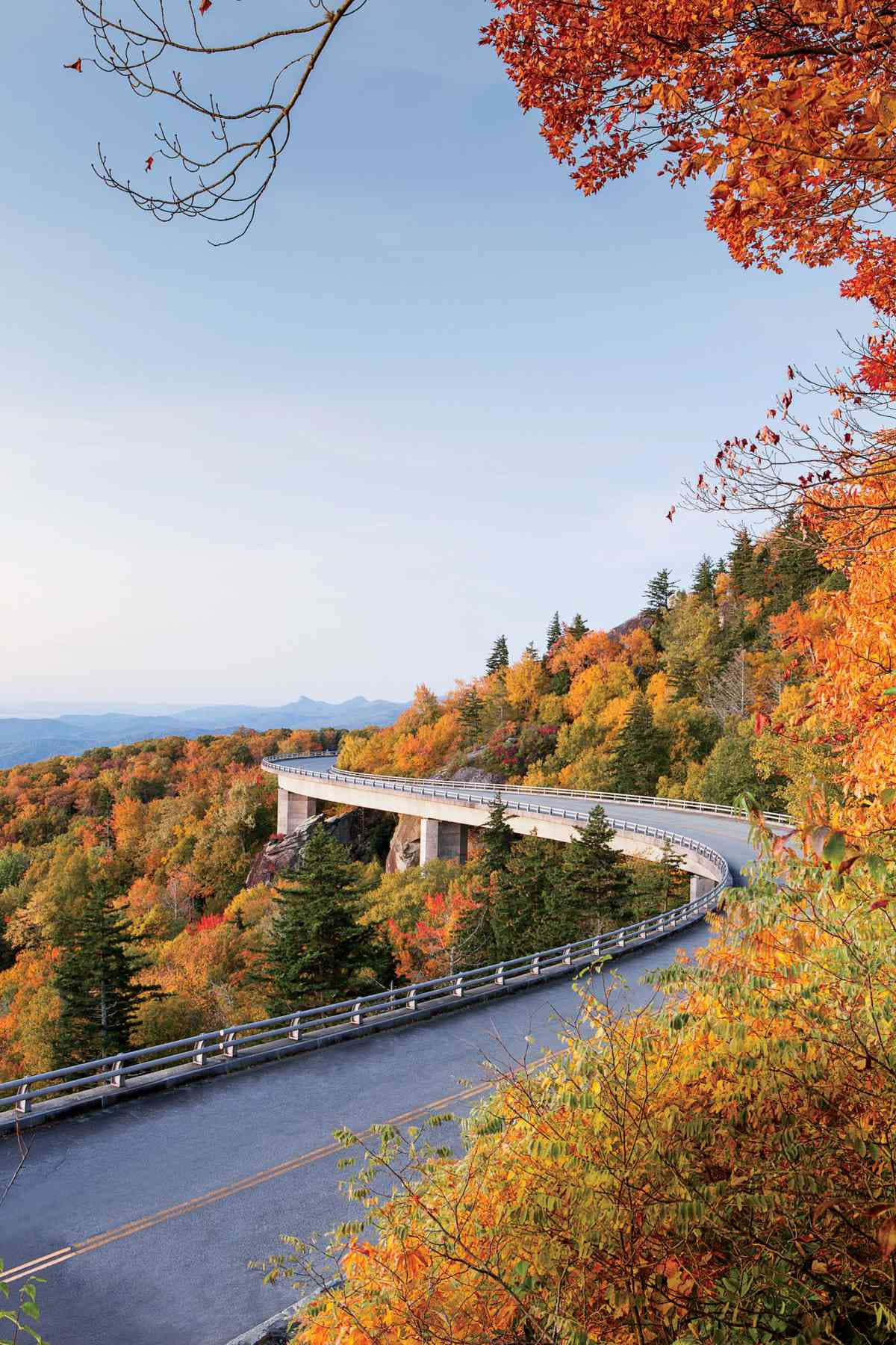 Blue Ridge Parkway 桌布 壁紙 — 一條蜿蜒的山路優雅地繞過懸崖，在清澈的藍天下，被鮮豔的橙色和黃色秋葉環繞。