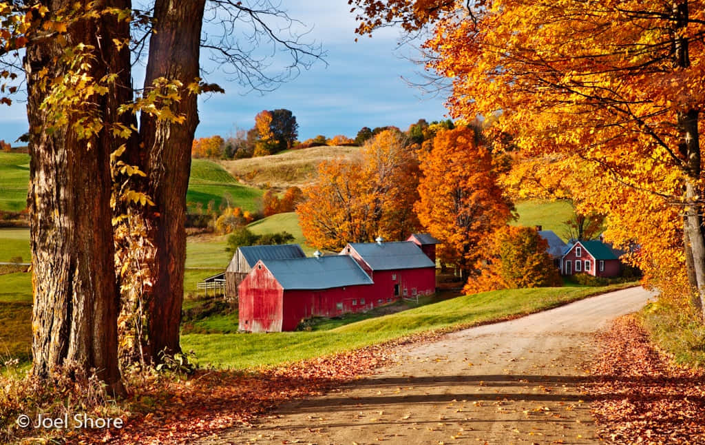 Fall Road 桌布 壁紙 — 一條蜿蜒的泥土路，兩旁是色彩繽紛的秋樹，通往坐落在連綿起伏的綠色山丘上的紅色穀倉和房屋，上方是清澈的藍天。