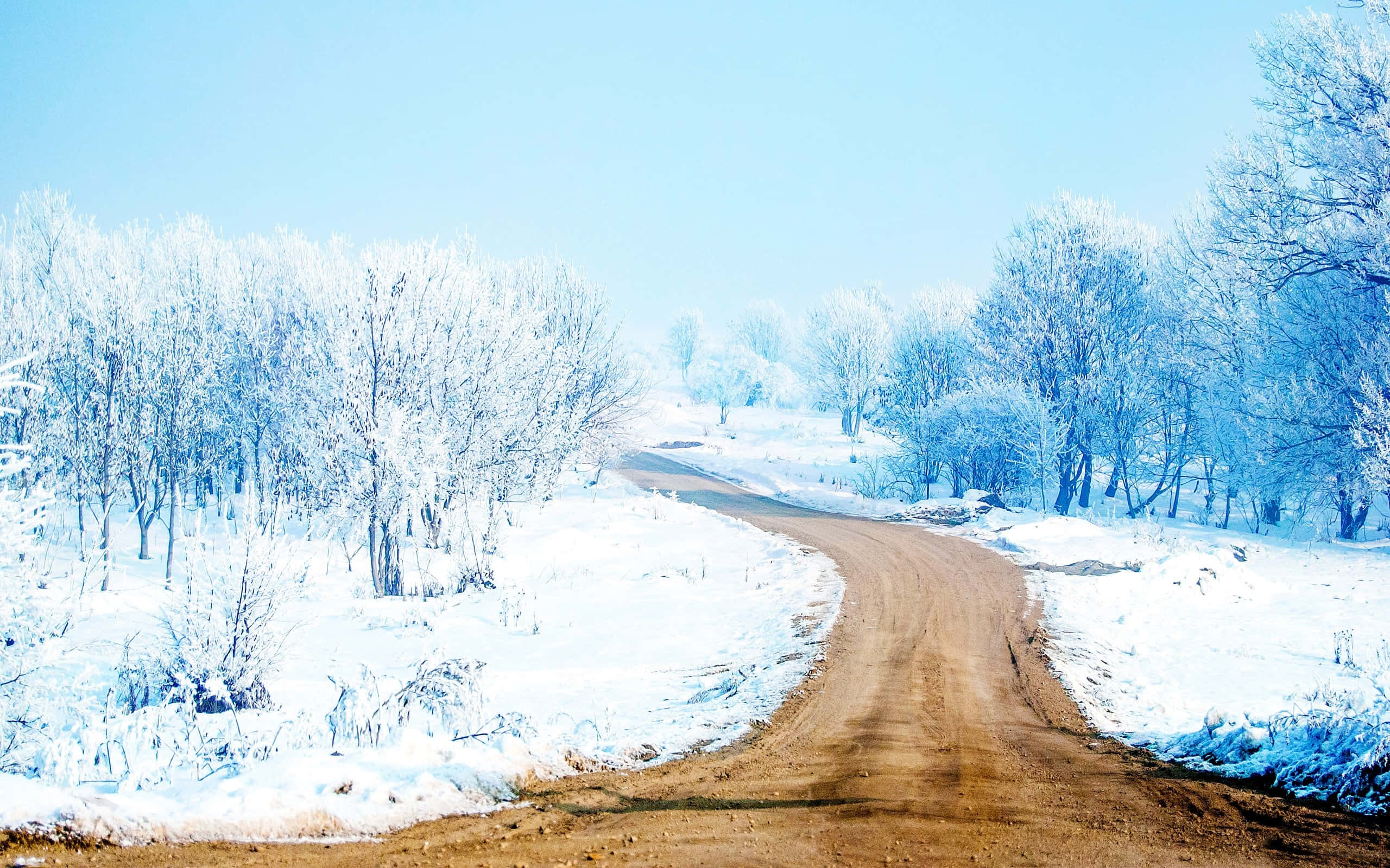 道路 桌布 壁紙 — 一條蜿蜒的泥土路穿過白雪覆蓋的寧靜冬季景觀，霜凍的樹木在清澈的藍天下。