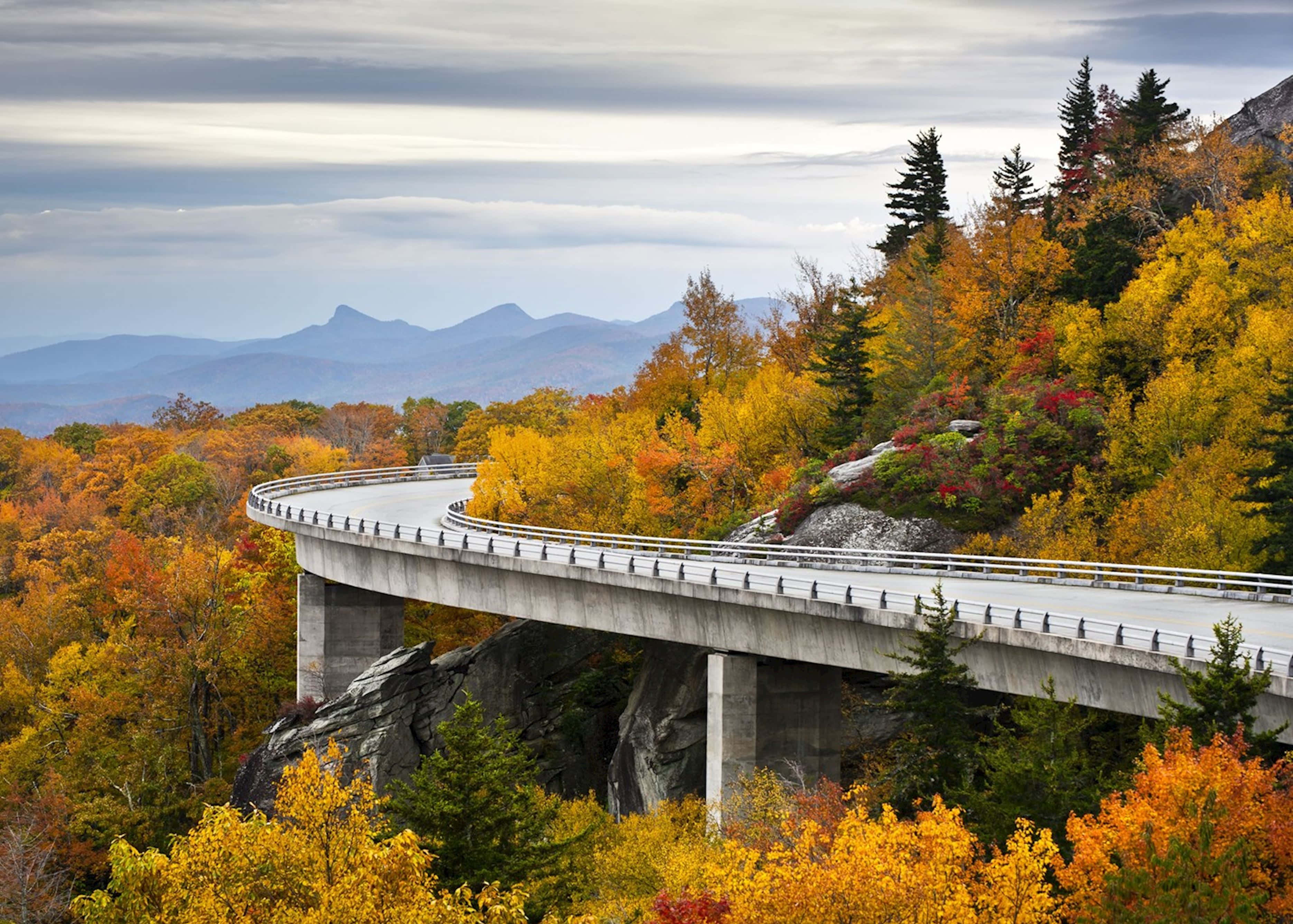 Blue Ridge Parkway 桌布 壁紙 — 一條蜿蜒的混凝土橋樑穿過色彩繽紛的秋日森林，遠山在陰雲密布的天空下。