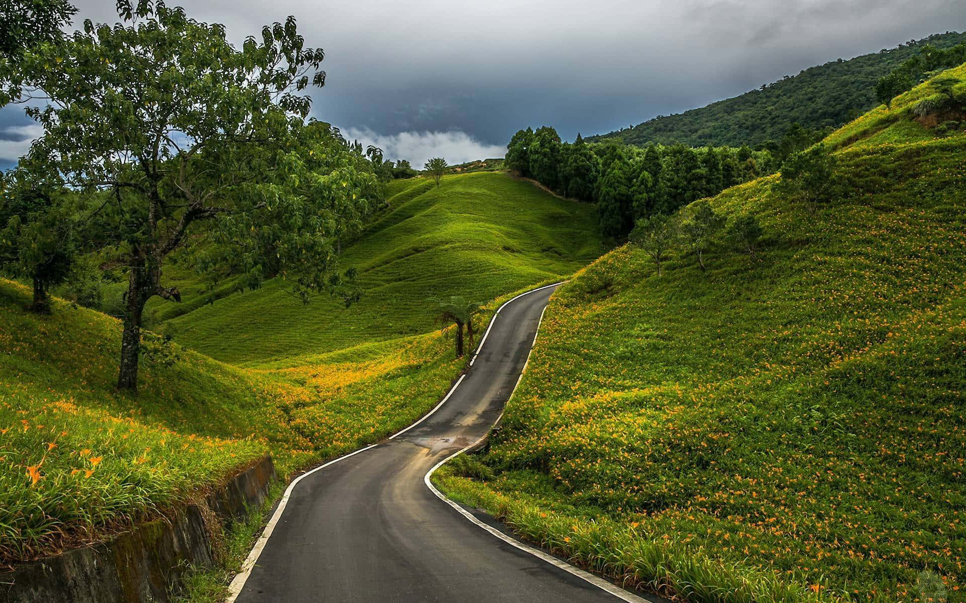 Hill 桌布 壁紙 — 一條蜿蜒的瀝青公路在戲劇性的多雲天空下，穿過點綴著黃色野花的翠綠山丘。