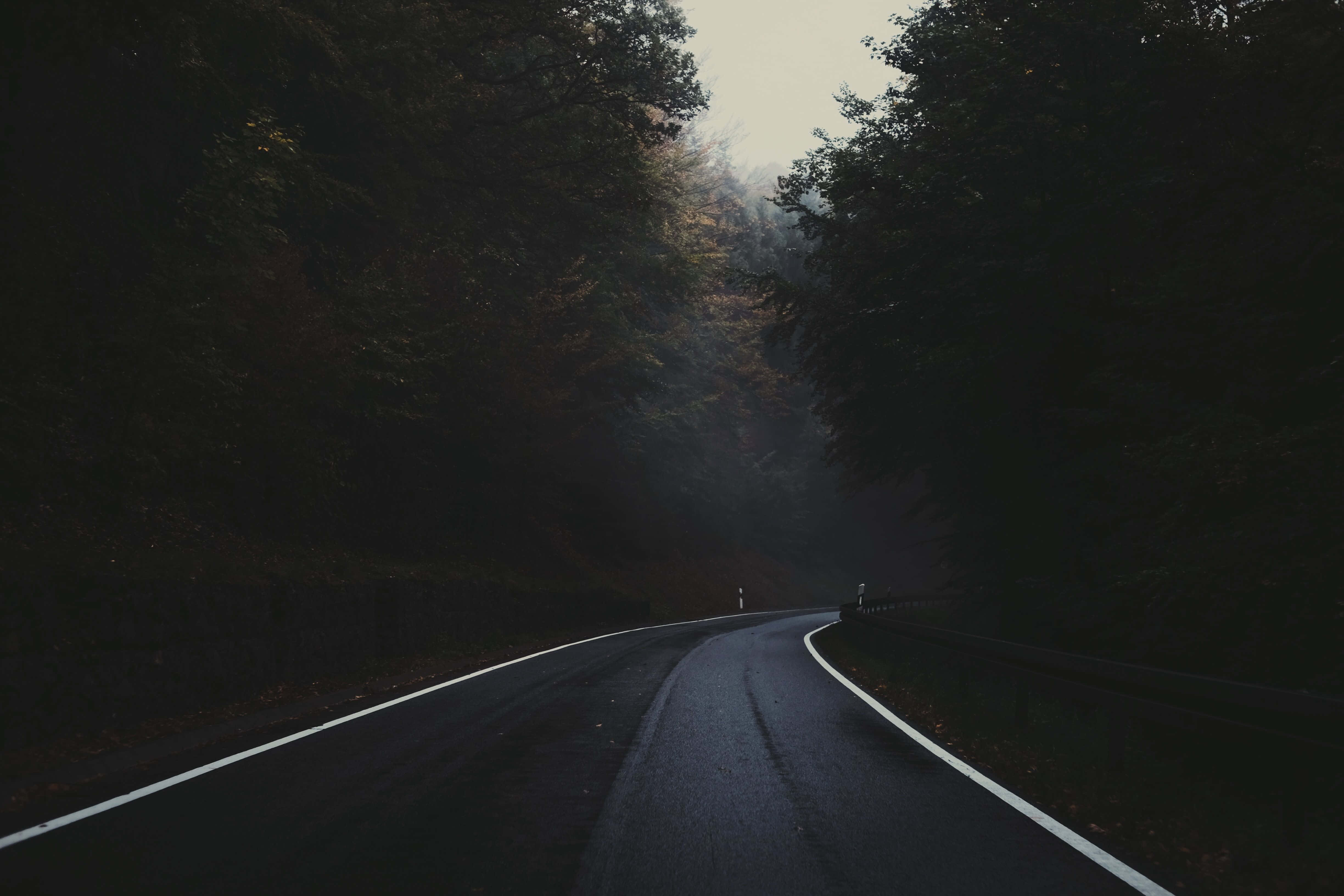 Dark Road 桌布 壁紙 — 一條蜿蜒的瀝青路在陰沉多雲的天空下蜿蜒穿過茂密、霧氣瀰漫的森林。