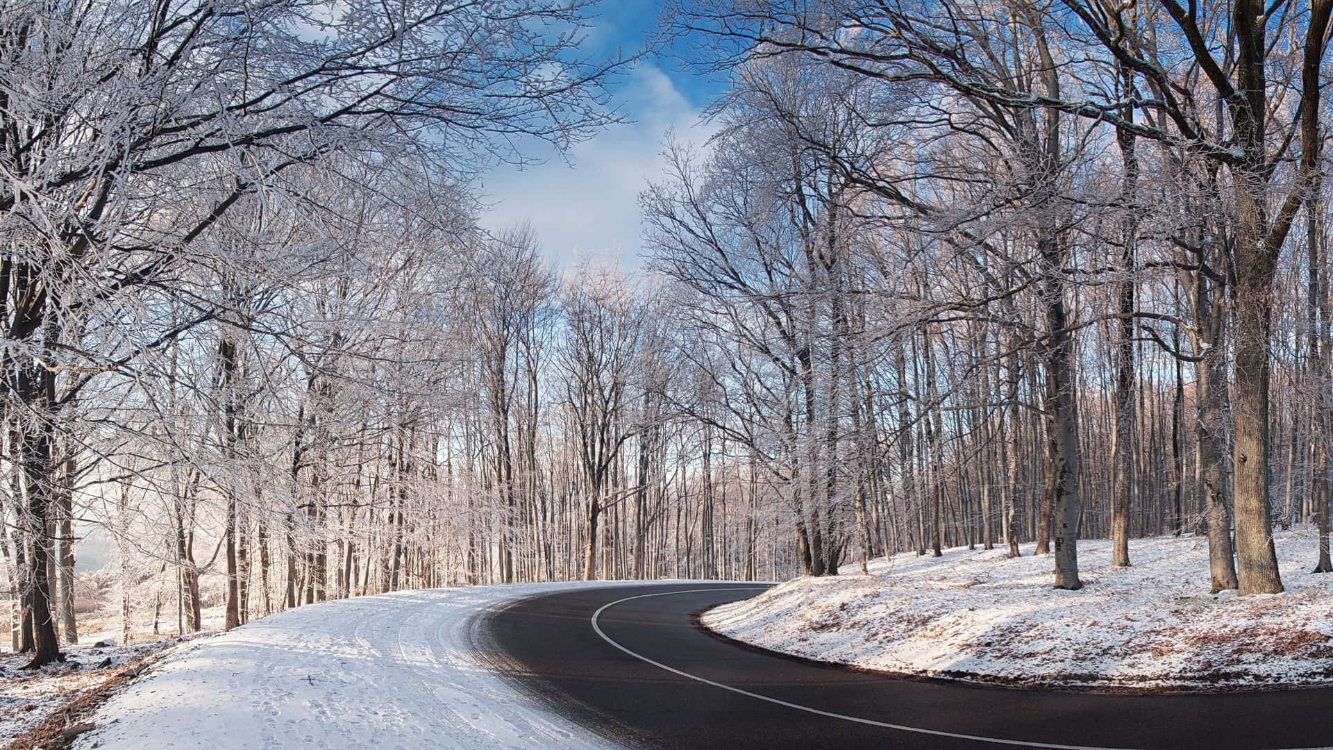 Icy Road 桌布 壁紙 — 一條蜿蜒的瀝青道路穿過白雪覆蓋的森林，樹木上結滿霜，在清澈的藍天下。