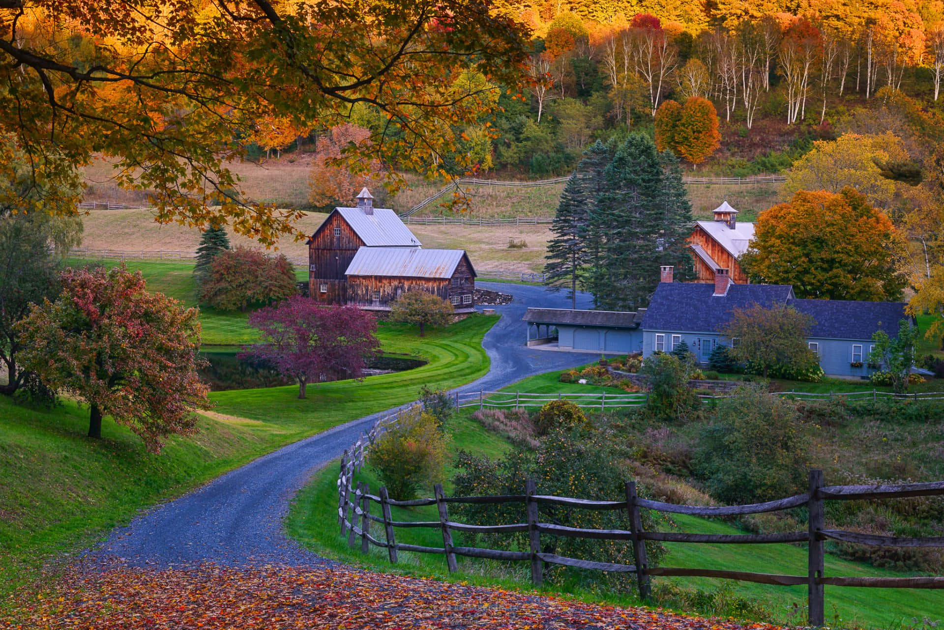 Fall Barn 桌布 壁紙 — 一條蜿蜒的碎石路穿過充滿活力的秋日鄉村，兩旁是色彩繽紛的樹木和質樸的農舍建築，沐浴在金色的夕陽餘暉中。