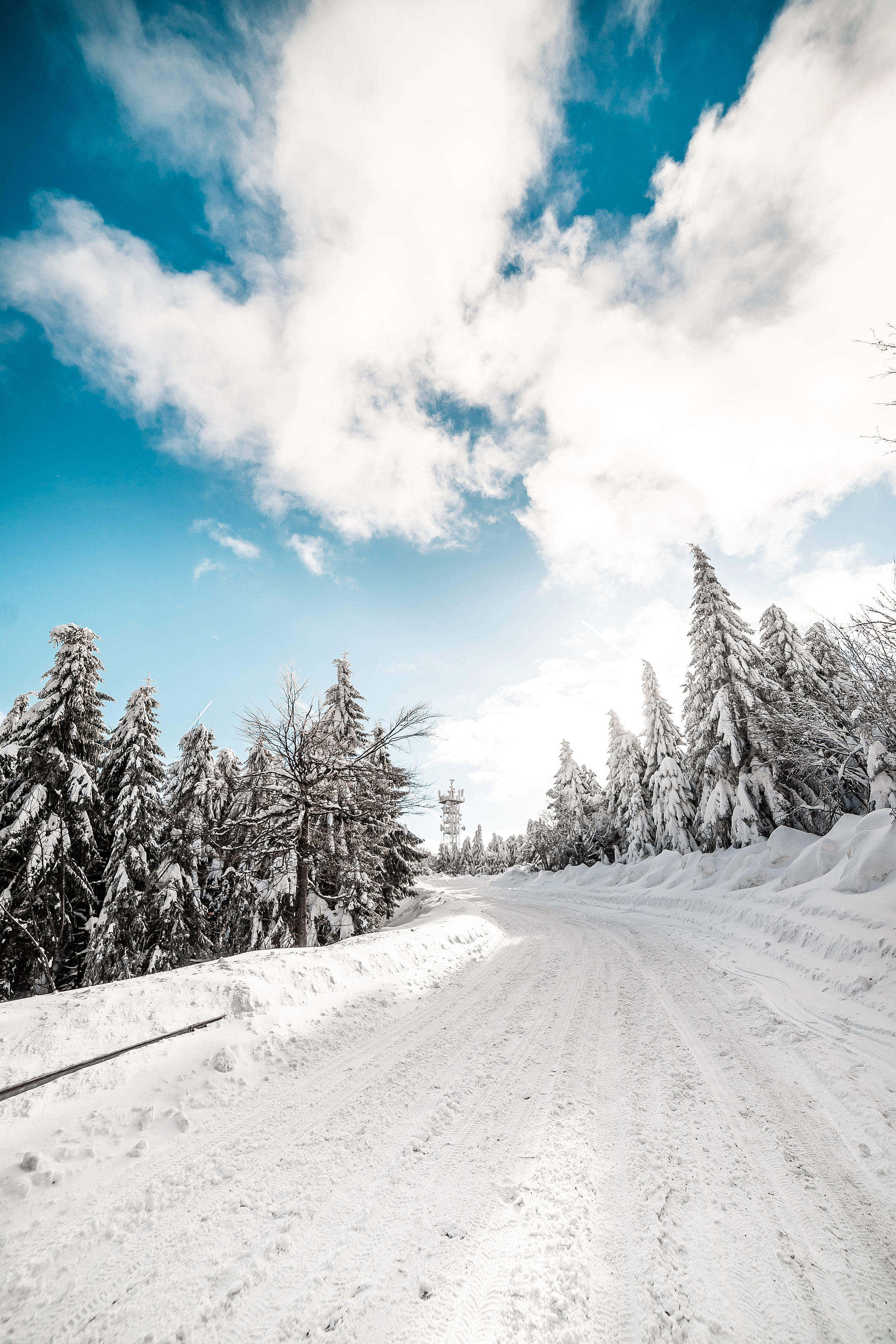 Snowy Road 桌布 壁紙 — 一條蜿蜒的積雪道路穿過白雪覆蓋的常綠樹林，上方是明亮的藍天和蓬鬆的白雲。