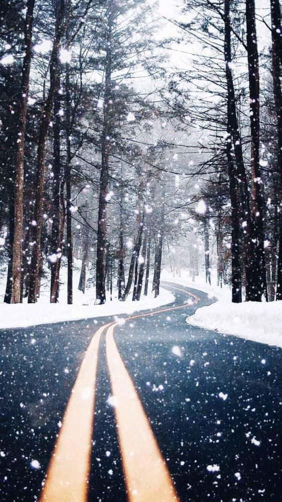Winter Photography 桌布 壁紙 — 一條蜿蜒的積雪道路穿過茂密的森林，雪花輕輕飄落在發光的黃色車道標記周圍。