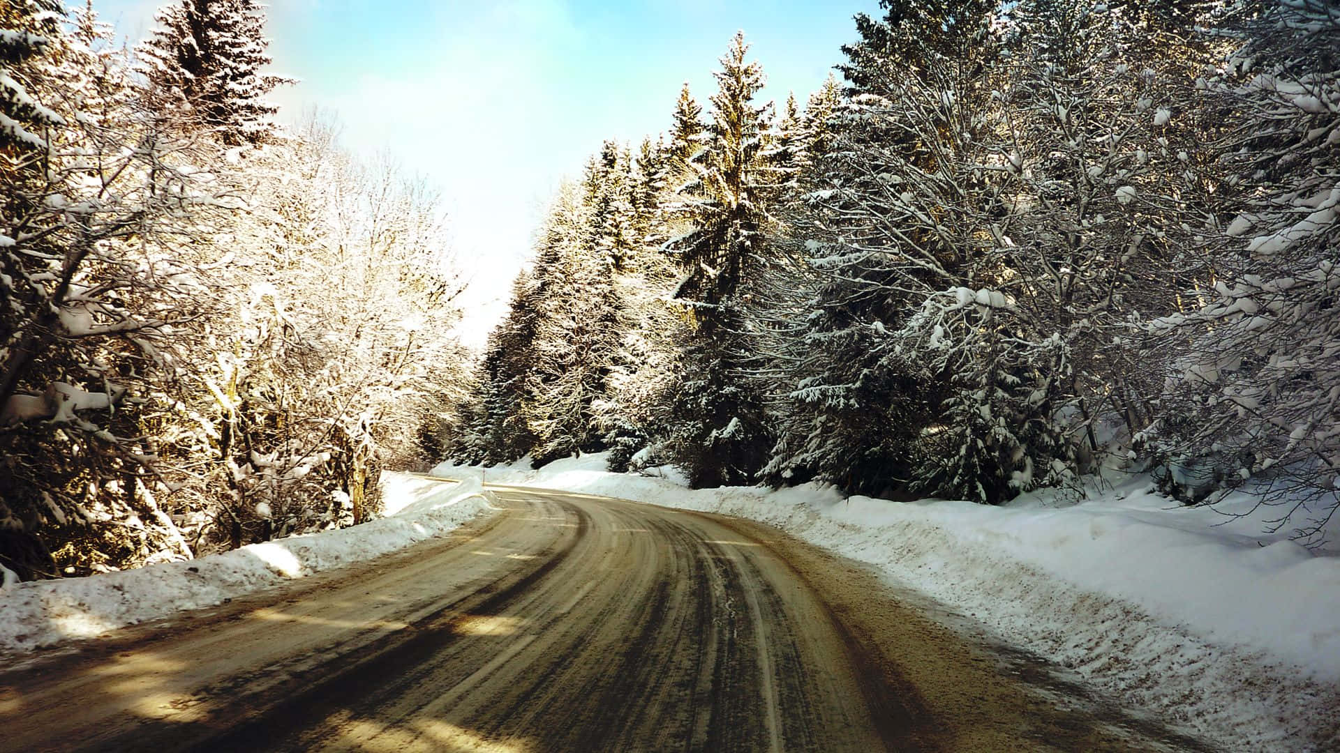 Icy Road 桌布 壁紙 — 一條蜿蜒的積雪道路穿過茂密的雪覆蓋常綠樹林，在明亮的冬日天空下。