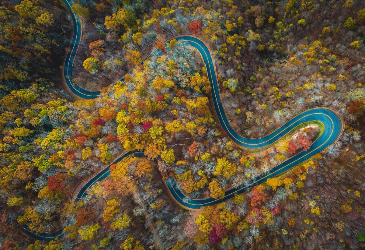 Fall Road 桌布 壁紙 — 一條蜿蜒的藍色道路穿過充滿活力的秋日森林，森林中有金色、紅色和橙色的樹葉，從空中俯瞰。