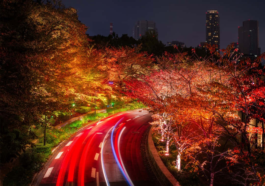 Fall City 桌布 壁紙 — 一條蜿蜒的道路在夜晚穿過秋天的樹木，樹木閃耀著紅橙色的葉子，被城市燈光和汽車頭燈的軌跡照亮。