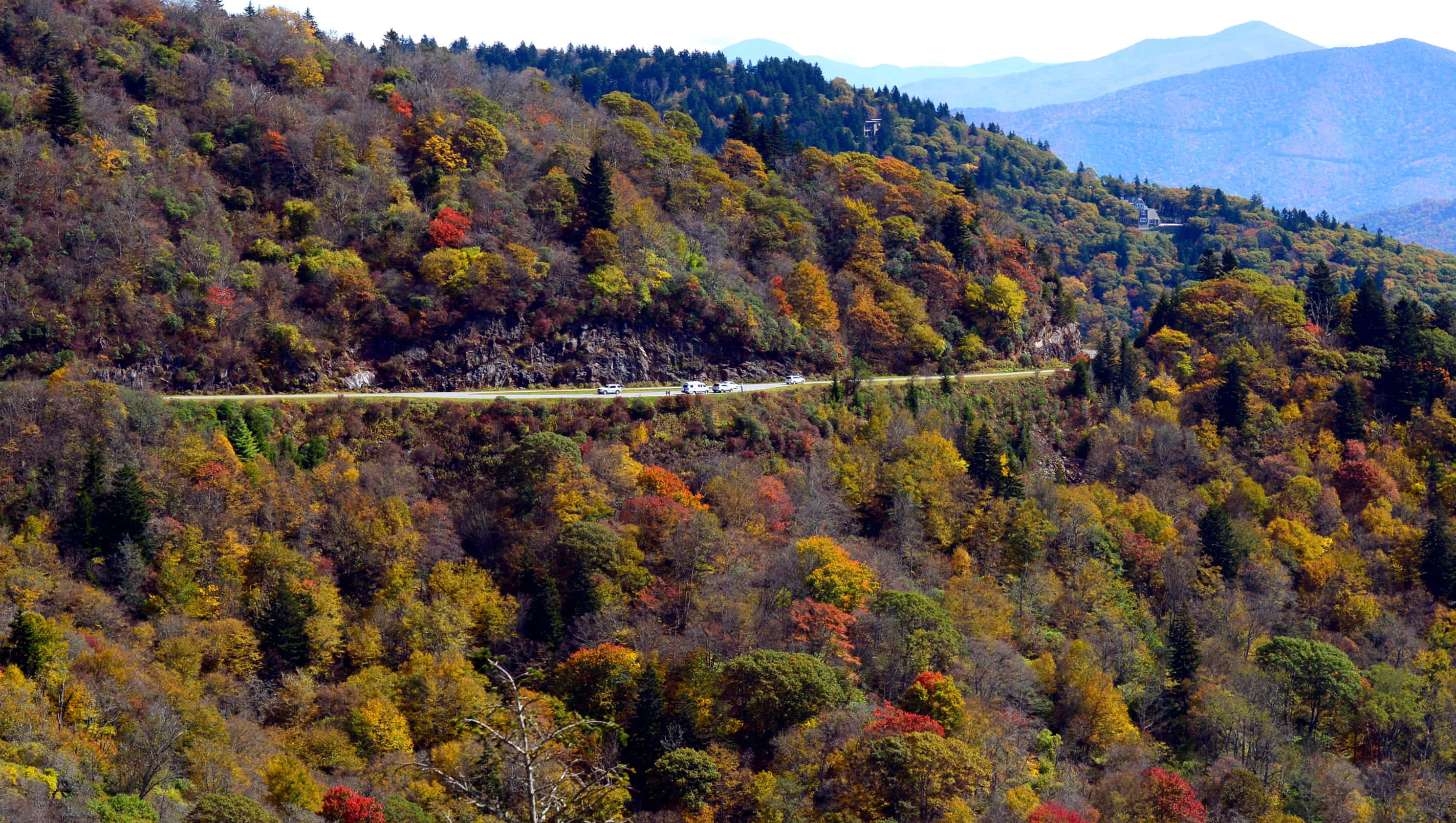 Blue Ridge Parkway 桌布 壁紙 — 一條蜿蜒的道路穿過充滿活力的秋日森林，色彩繽紛的樹木和遠處的山脈在晴朗的天空下。