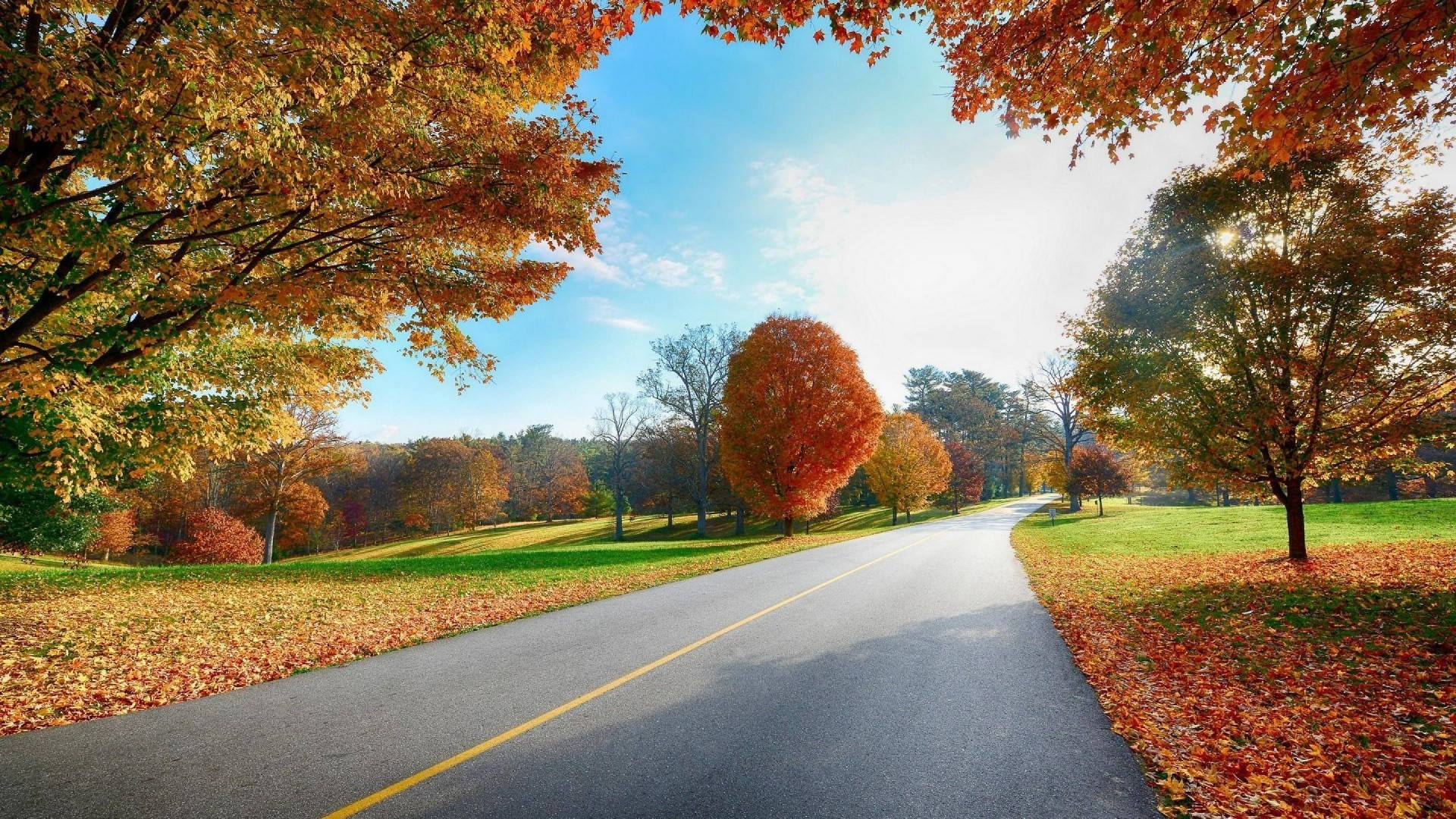 自然 桌布 壁紙 — 一條蜿蜒的道路穿過充滿活力的秋日森林，火紅的橙色和金色樹葉在清澈的藍天下勾勒出小徑的輪廓。