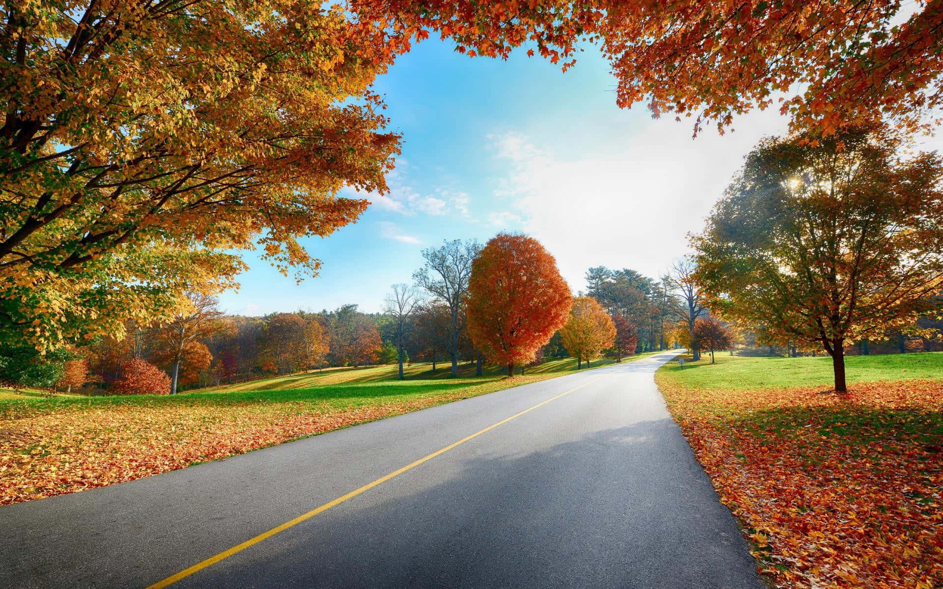 Fall Country 桌布 壁紙 — 一條蜿蜒的道路穿過充滿活力的秋日森林，金色的樹葉襯托著藍天。