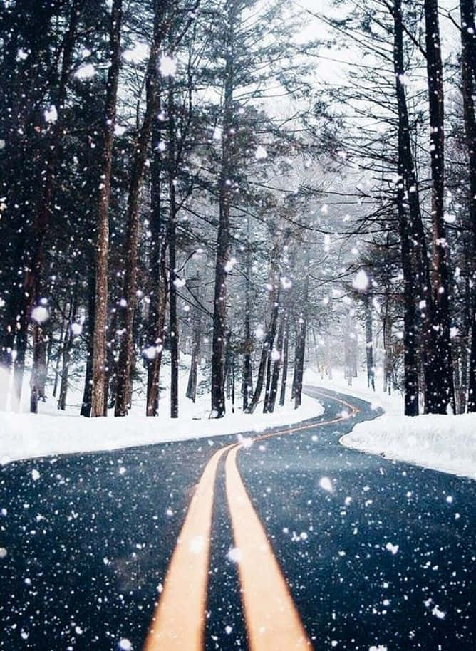 Winter Photography 桌布 壁紙 — 一條蜿蜒的道路穿過白雪覆蓋的松樹林，雪花飄落在發光的黃色車道標記周圍。