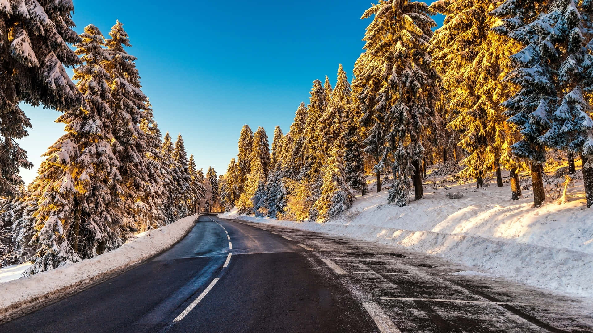 道路 桌布 壁紙 — 一條蜿蜒的道路穿過白雪覆蓋的松樹，在清澈的藍天下，金色的陽光照亮了樹枝。