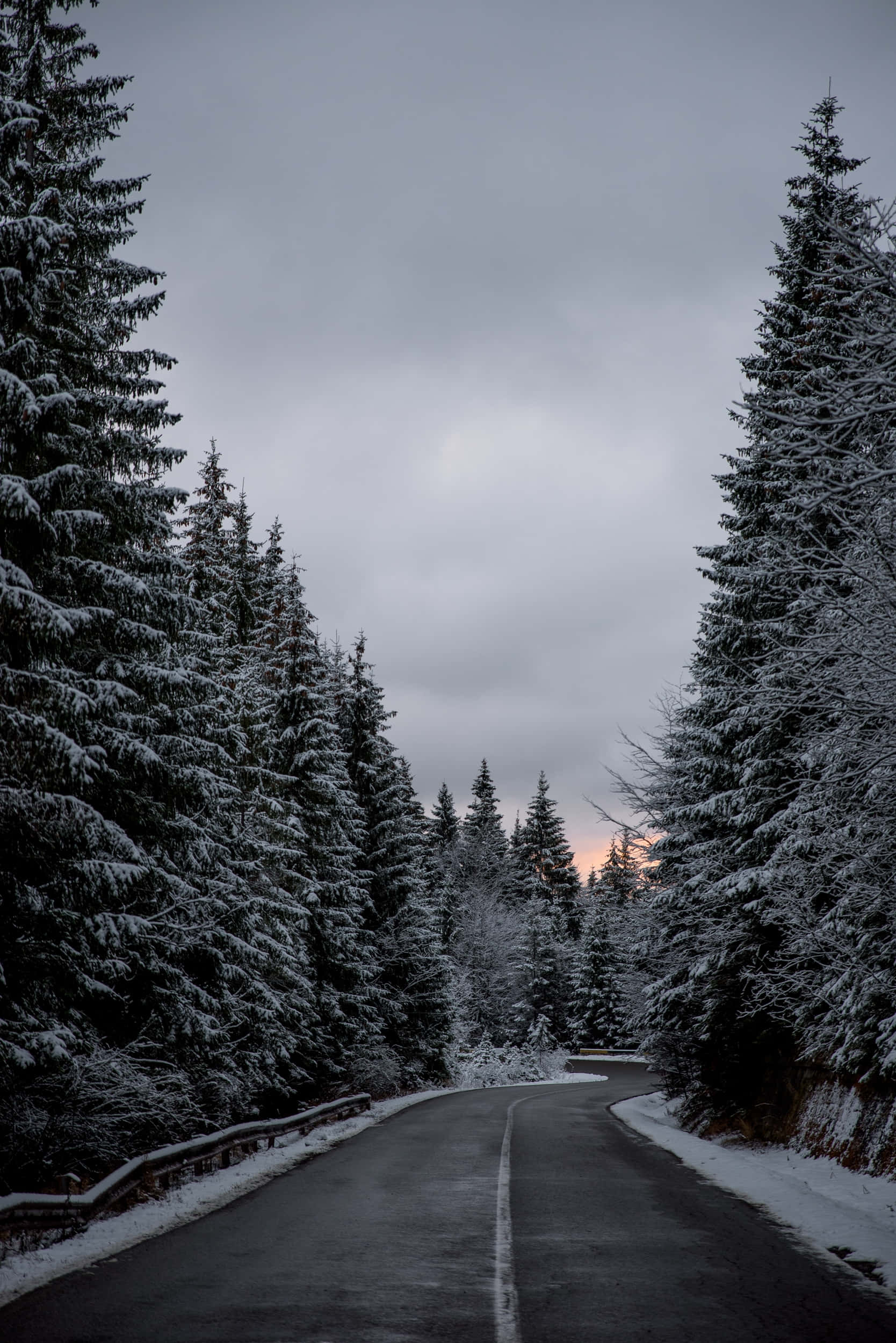 Snowy Road 桌布 壁紙 — 一條蜿蜒的道路穿過白雪覆蓋的森林，森林中有常綠樹，在黃昏時灰色的天空下。