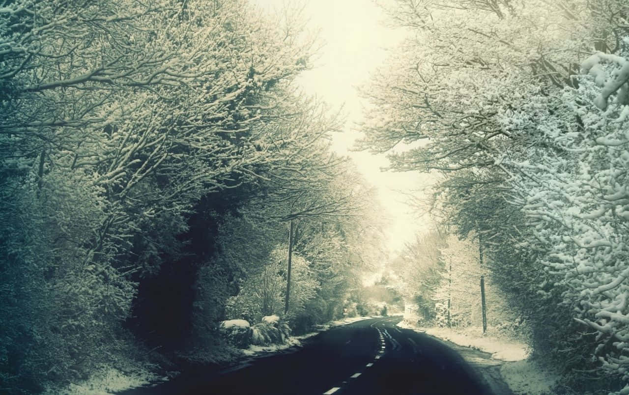 Icy Road 桌布 壁紙 — 一條蜿蜒的道路穿過白雪覆蓋的森林，光禿禿的樹木在朦朧的冬日天空下披上白霜。