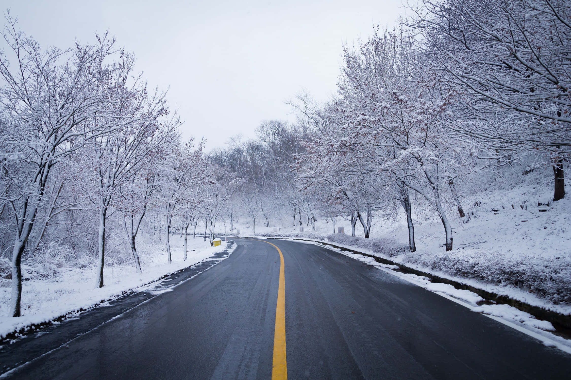 Icy Road 桌布 壁紙 — 一條蜿蜒的道路穿過白雪覆蓋的森林，光禿禿的樹木在陰天之下披上了白色的塵埃。