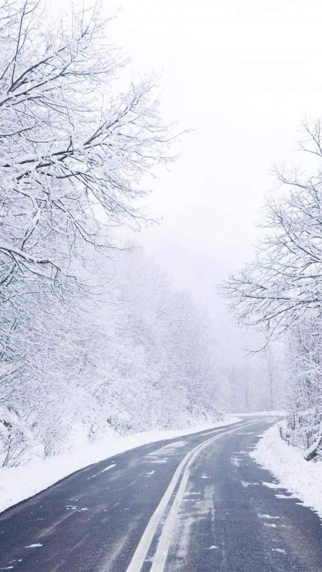 Icy Road 桌布 壁紙 — 一條蜿蜒的道路穿過白雪覆蓋的森林，天空灰白朦朧，光禿禿的樹木披著霜。