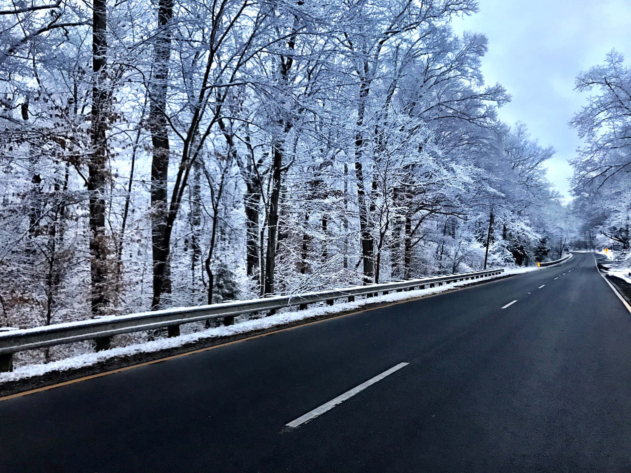 Snowy Road 桌布 壁紙 — 一條蜿蜒的道路穿過白雪覆蓋的森林，樹木披著霜，天空陰沉冬日。