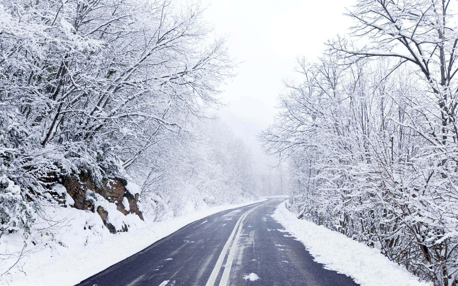 道路 桌布 壁紙 — 一條蜿蜒的道路穿過白雪覆蓋的森林，光禿禿的樹木在陰天之下披著白霜。