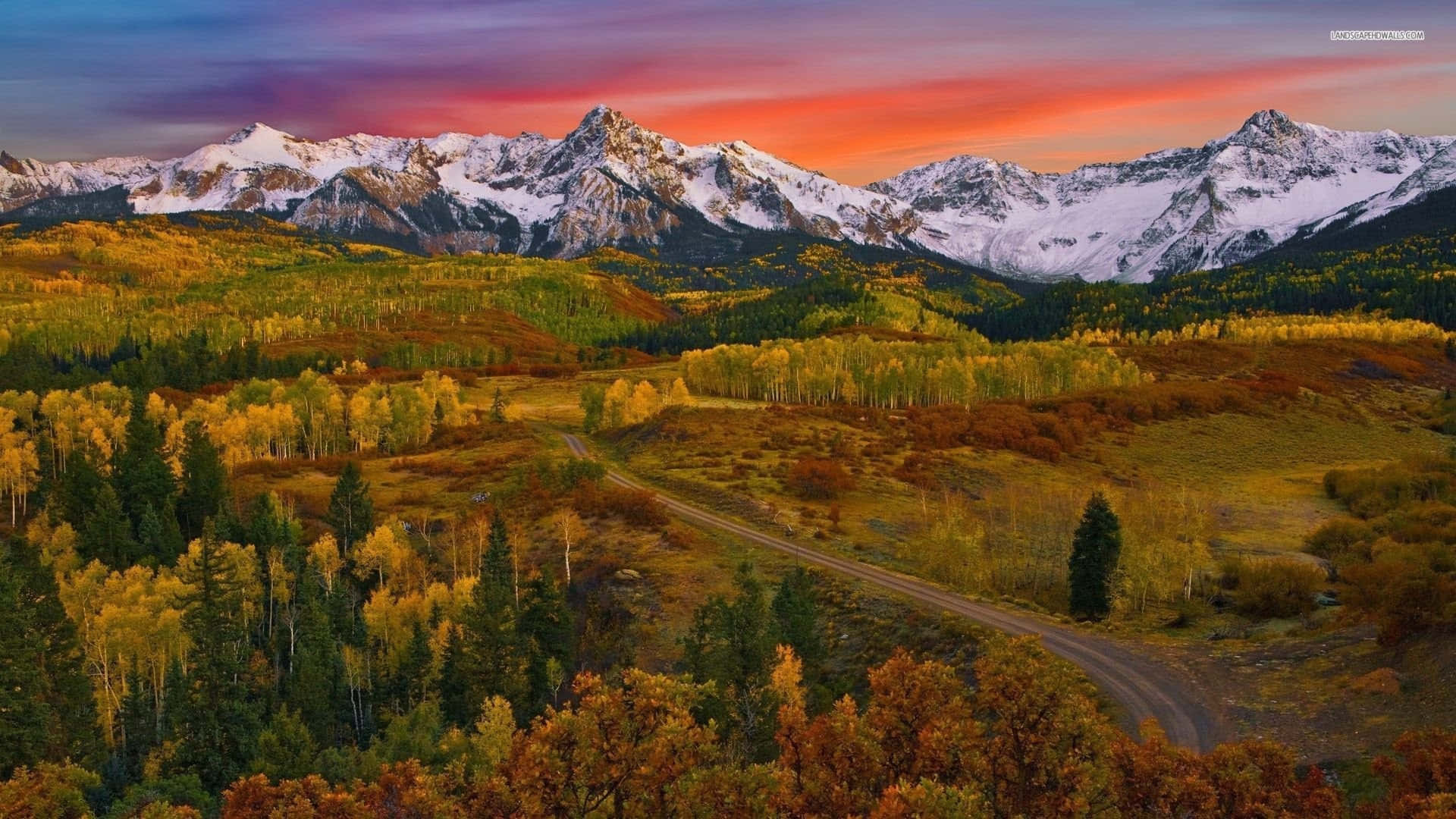 Fall Mountains 桌布 壁紙 — 一條蜿蜒的道路穿過秋日森林，下方是雪山在日落時分閃耀。