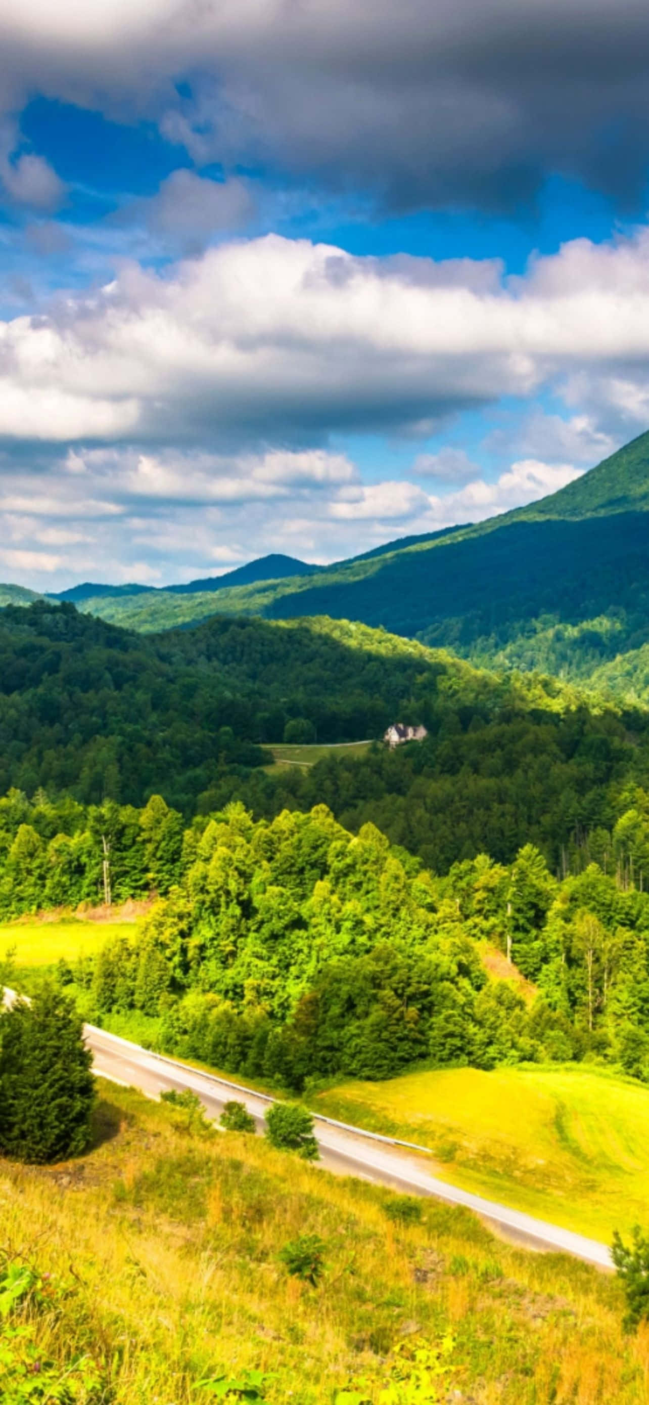 Mountain iPhone 桌布 壁紙 — 一條蜿蜒的道路穿過茂密的綠色森林和起伏的山丘，上方是明亮的藍天和蓬鬆的白雲。