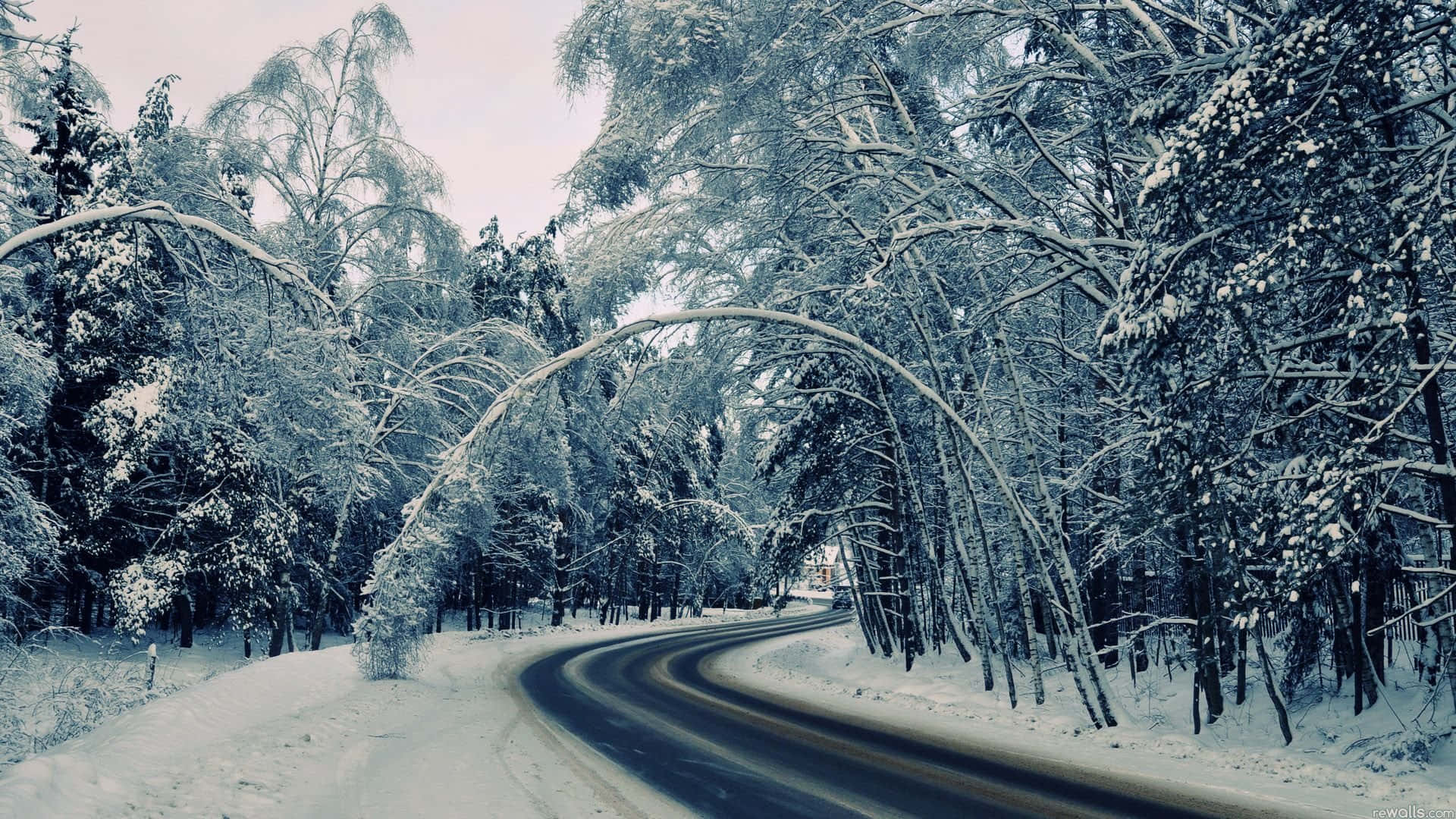 Icy Road 桌布 壁紙 — 一條蜿蜒的道路穿過茂密的雪林，霜覆的樹木在蒼白的冬日天空下拱起。