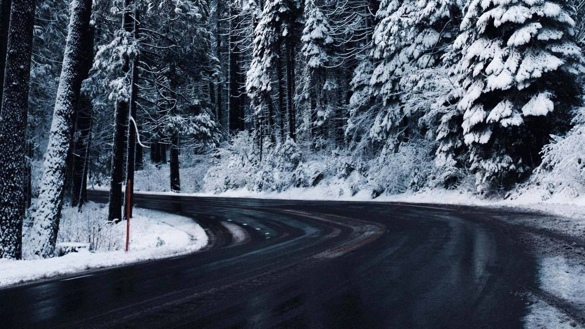 Icy Road 桌布 壁紙 — 一條蜿蜒的道路穿過茂密的雪林，高大的松樹被白雪覆蓋。