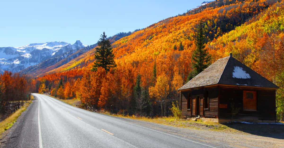 Fall Road 桌布 壁紙 — 一條蜿蜒的道路繞過一間質樸的木屋，木屋坐落在火紅的橙色秋樹之中，遠處是白雪覆蓋的山峰。