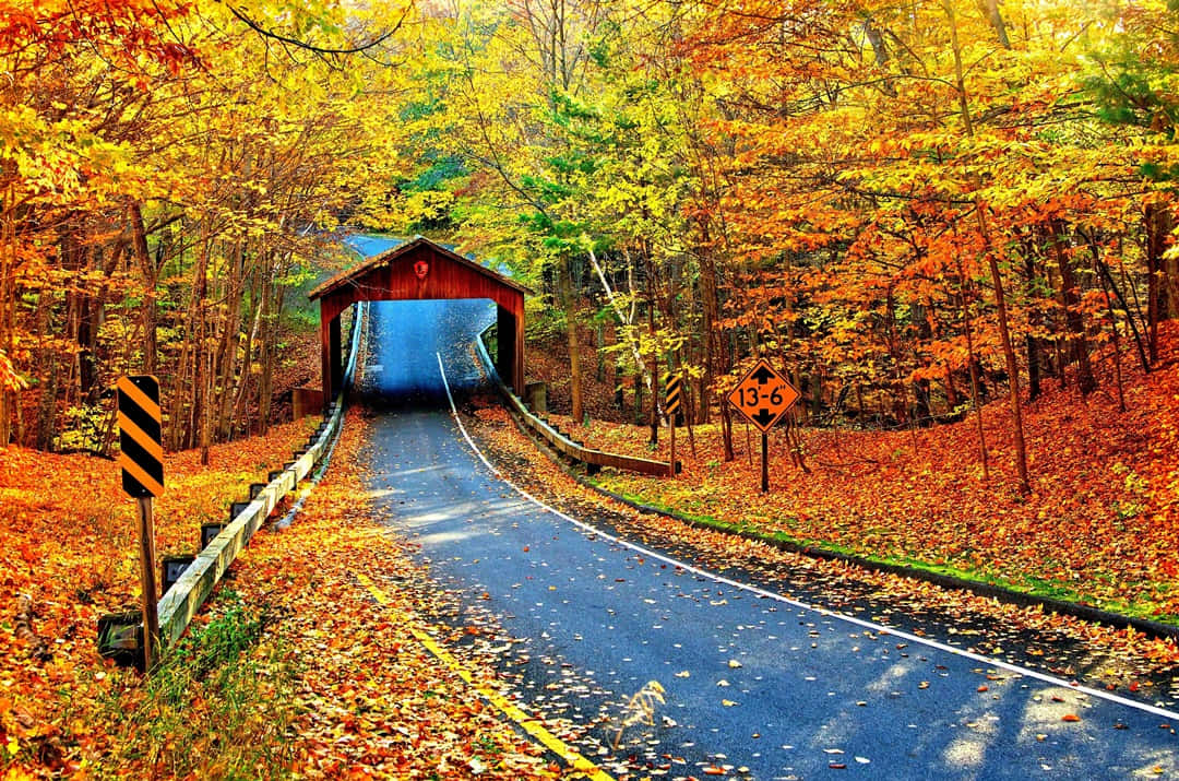 Fall Country 桌布 壁紙 — 一條蜿蜒的道路覆蓋著落葉，通往一座坐落在充滿活力的秋日森林中的紅色木橋。
