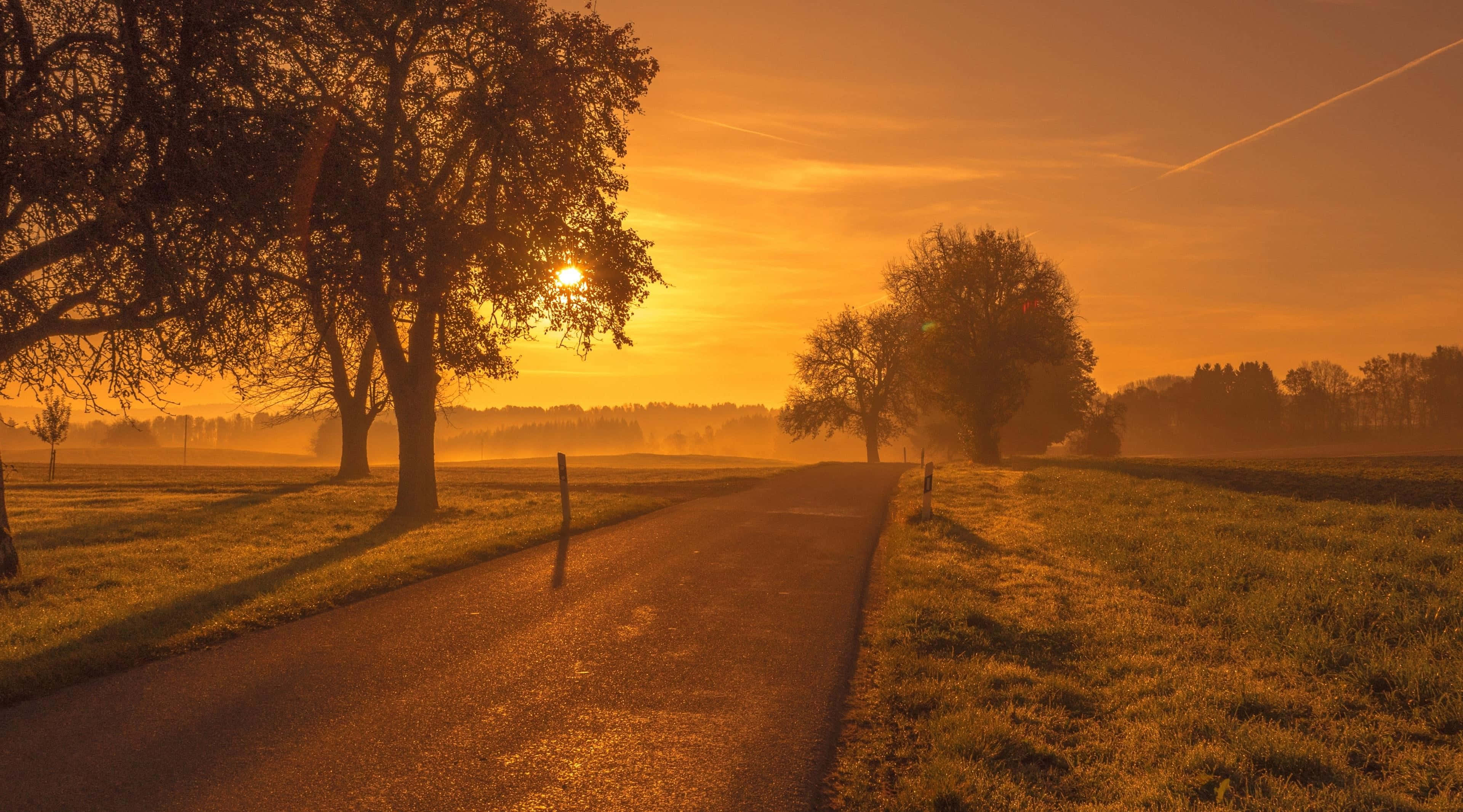 Sunset Landscape 桌布 壁紙 — 一條蜿蜒的鄉村道路沐浴在金色的日出光芒中，兩旁是霧氣瀰漫的田野和剪影般的樹木。