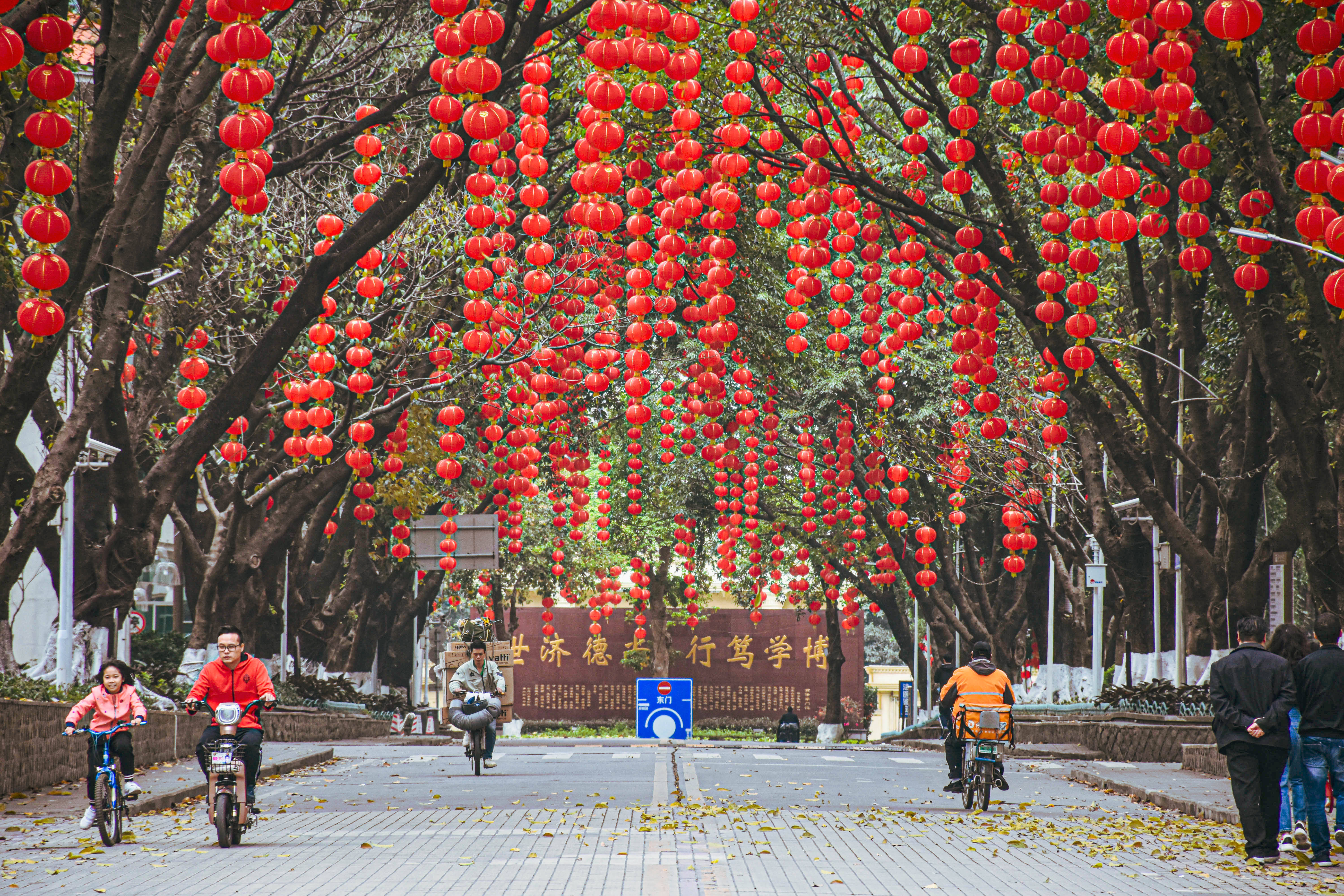 University 桌布 壁紙 — 一條街道兩旁樹木掛滿鮮豔的紅色燈籠，人們在節日般的樹蔭下騎單車和步行。