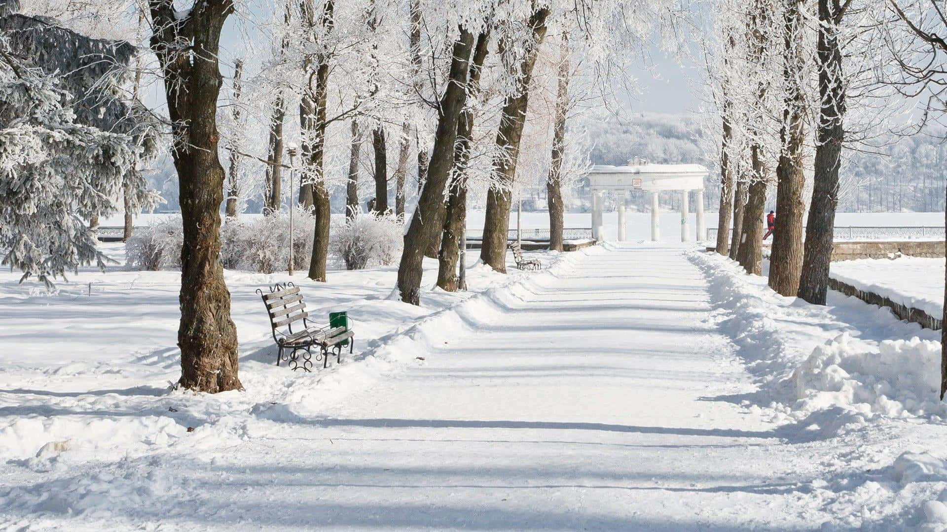冬季 桌布 壁紙 — 一條被雪覆蓋的公園小徑，兩旁是結霜的樹木，在明亮的冬日陽光下通往一個白色的涼亭。