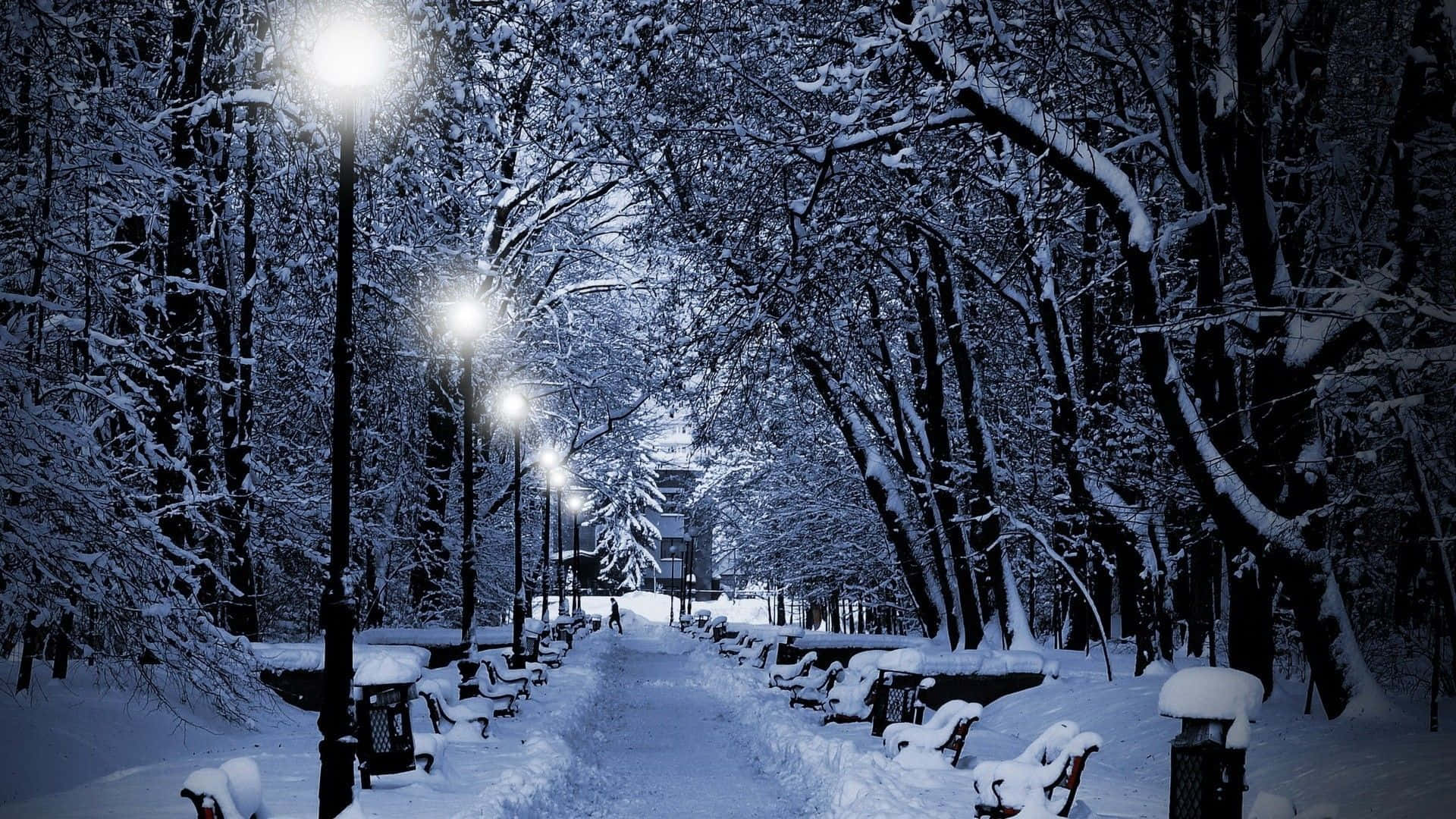 Road 桌布 壁紙 — 一條被雪覆蓋的公園小徑在夜晚被發光的街燈照亮，柔和的光線灑在結霜的樹木和長椅上。