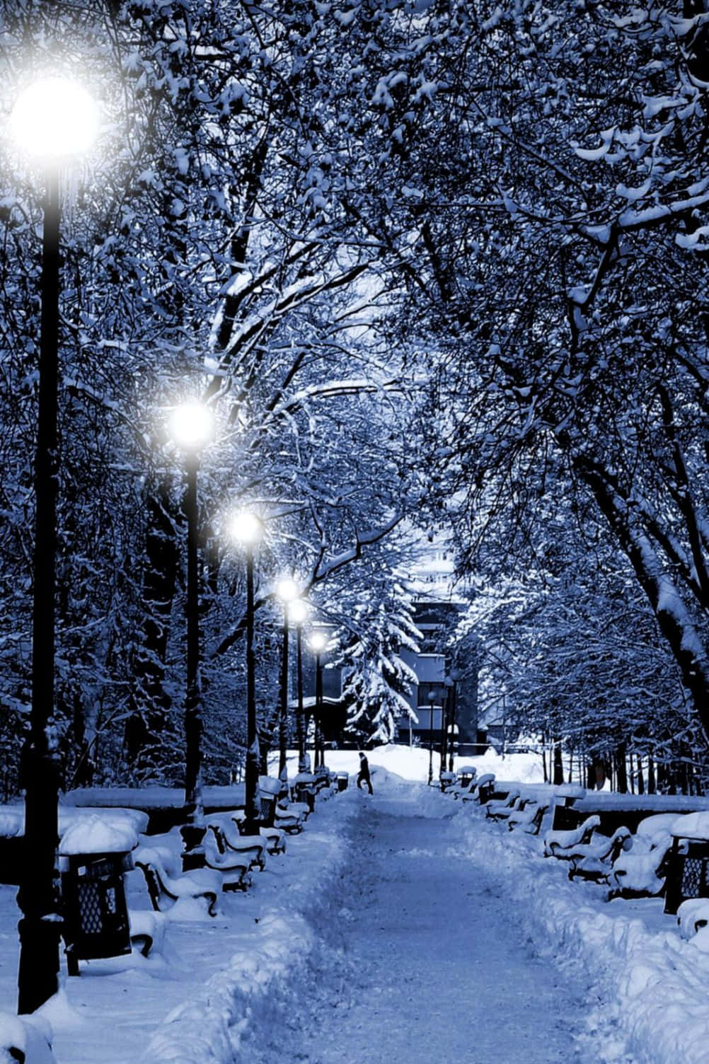 Winter Christmas 桌布 壁紙 — 一條被雪覆蓋的公園小徑在夜晚被發光的街燈照亮，將藍光投射在積雪的樹木和長椅上。