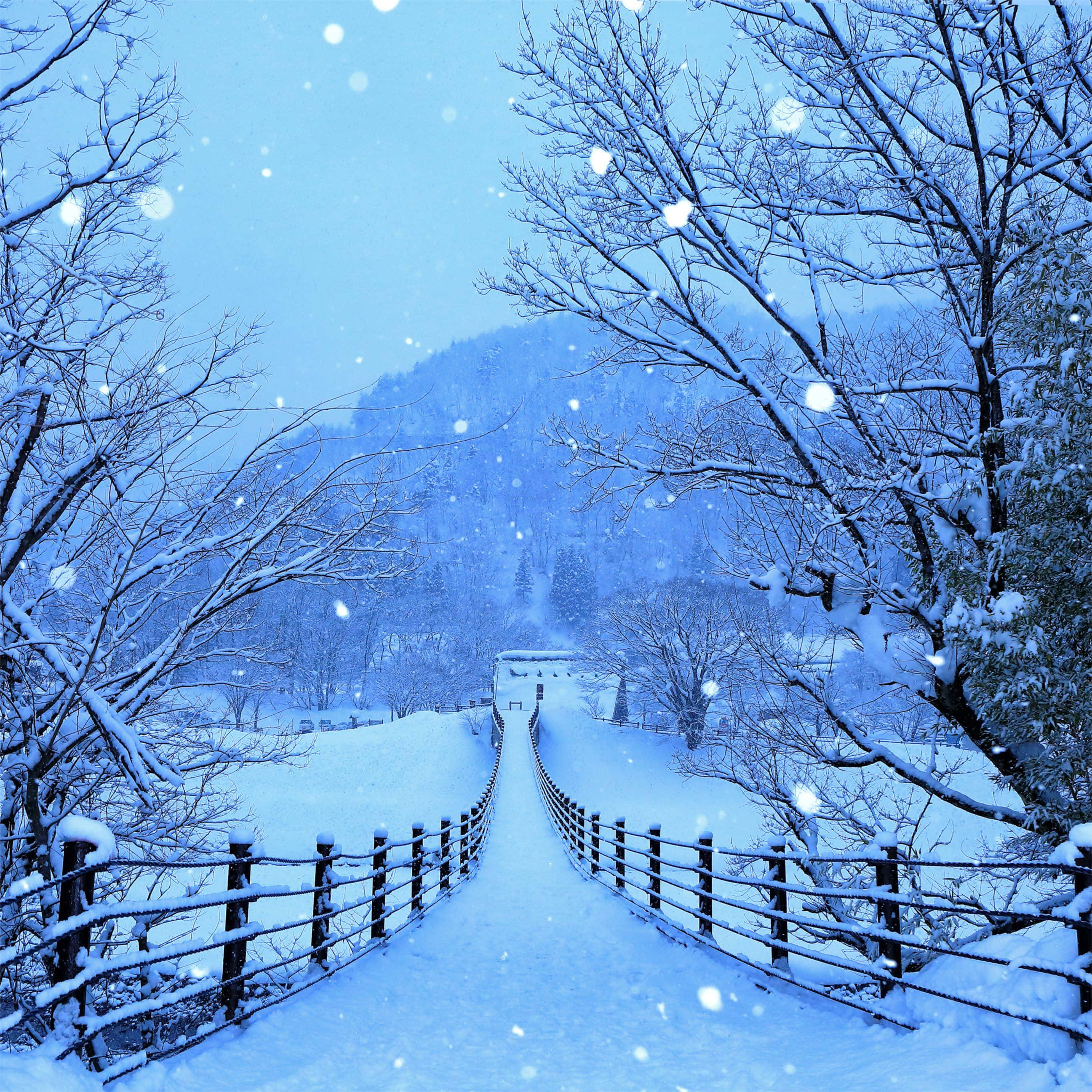 Snowy Road 桌布 壁紙 — 一條被雪覆蓋的木橋蜿蜒穿過寧靜的冬季森林，在柔和的藍天下飄落著雪花。