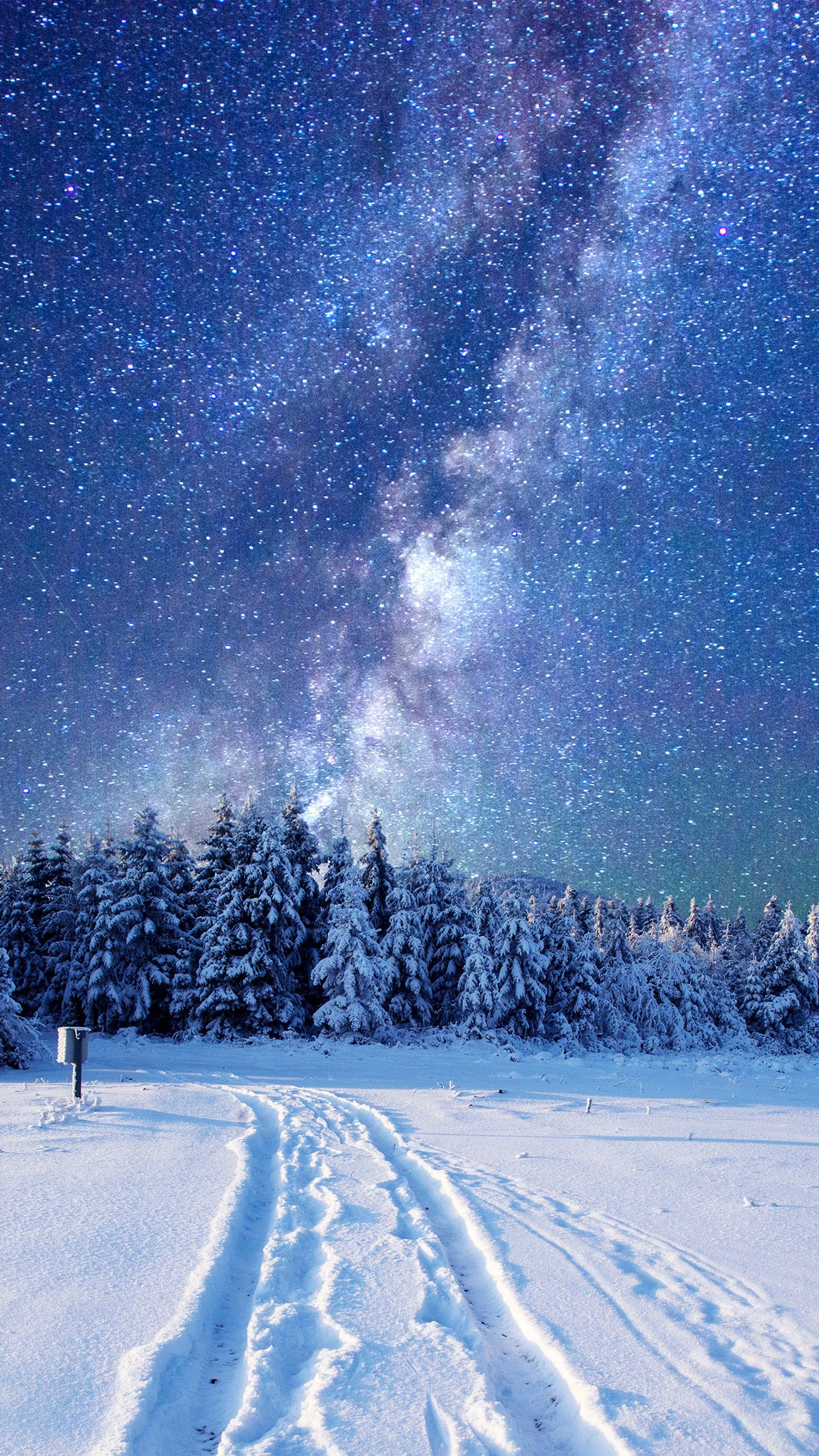 Cute Winter Aesthetic 桌布 壁紙 — 一條被雪覆蓋的森林小徑通往滿天星斗的夜空，銀河在上方拱起。
